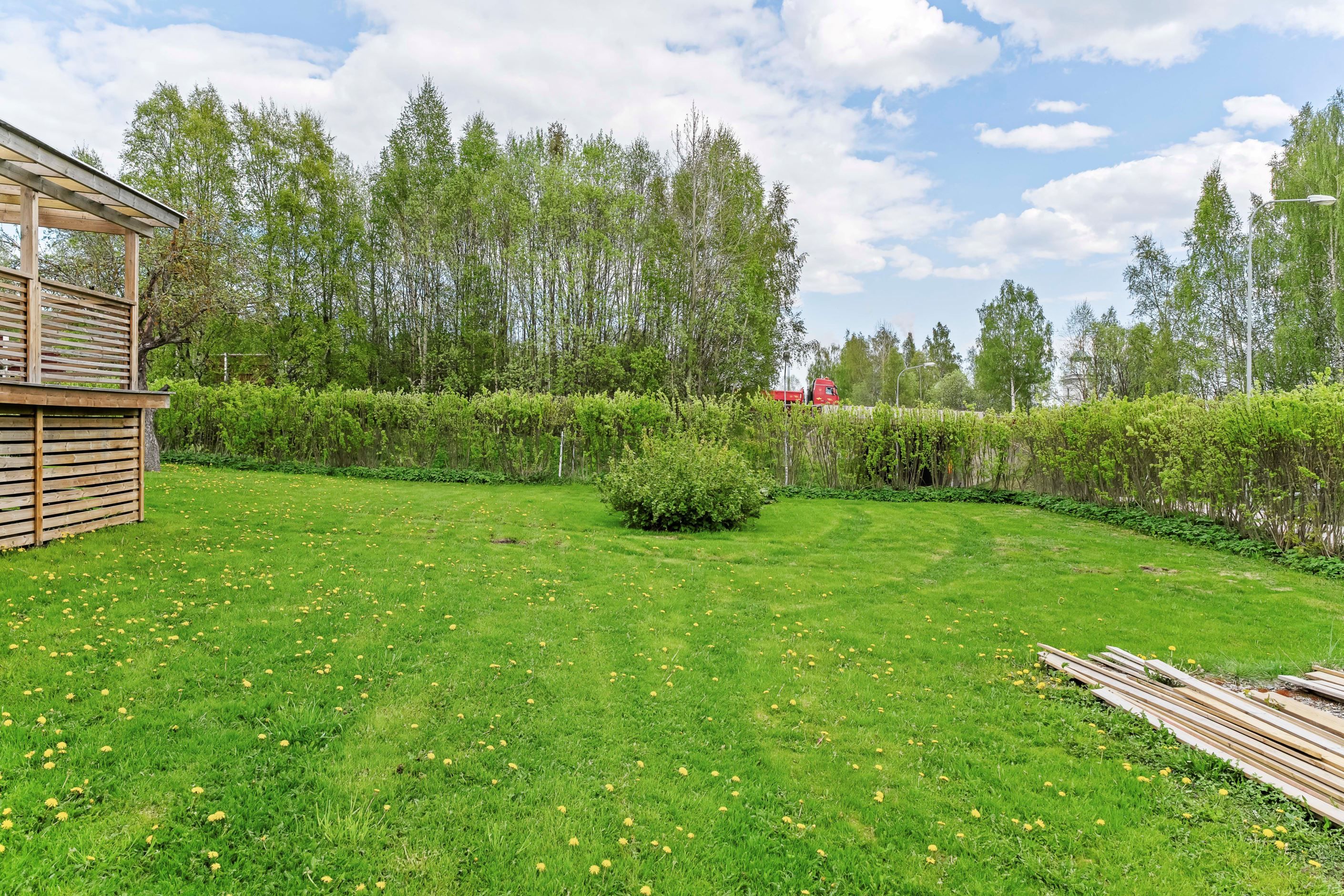 Trädgården