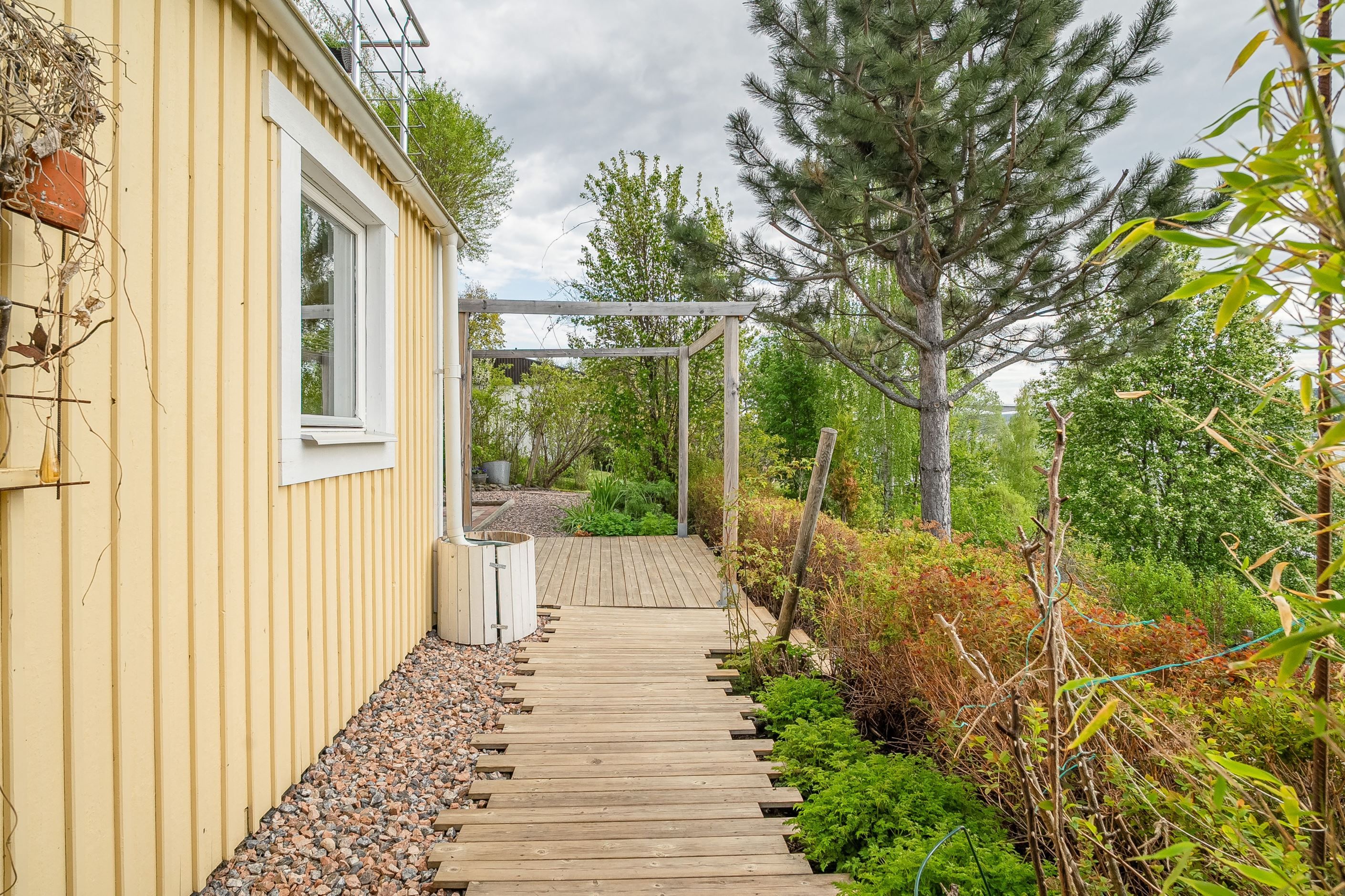 Trädgården