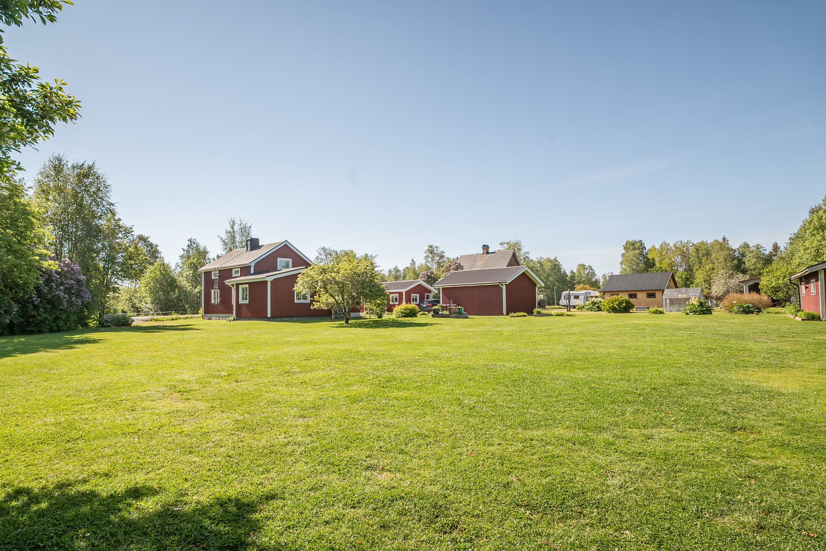Trädgården