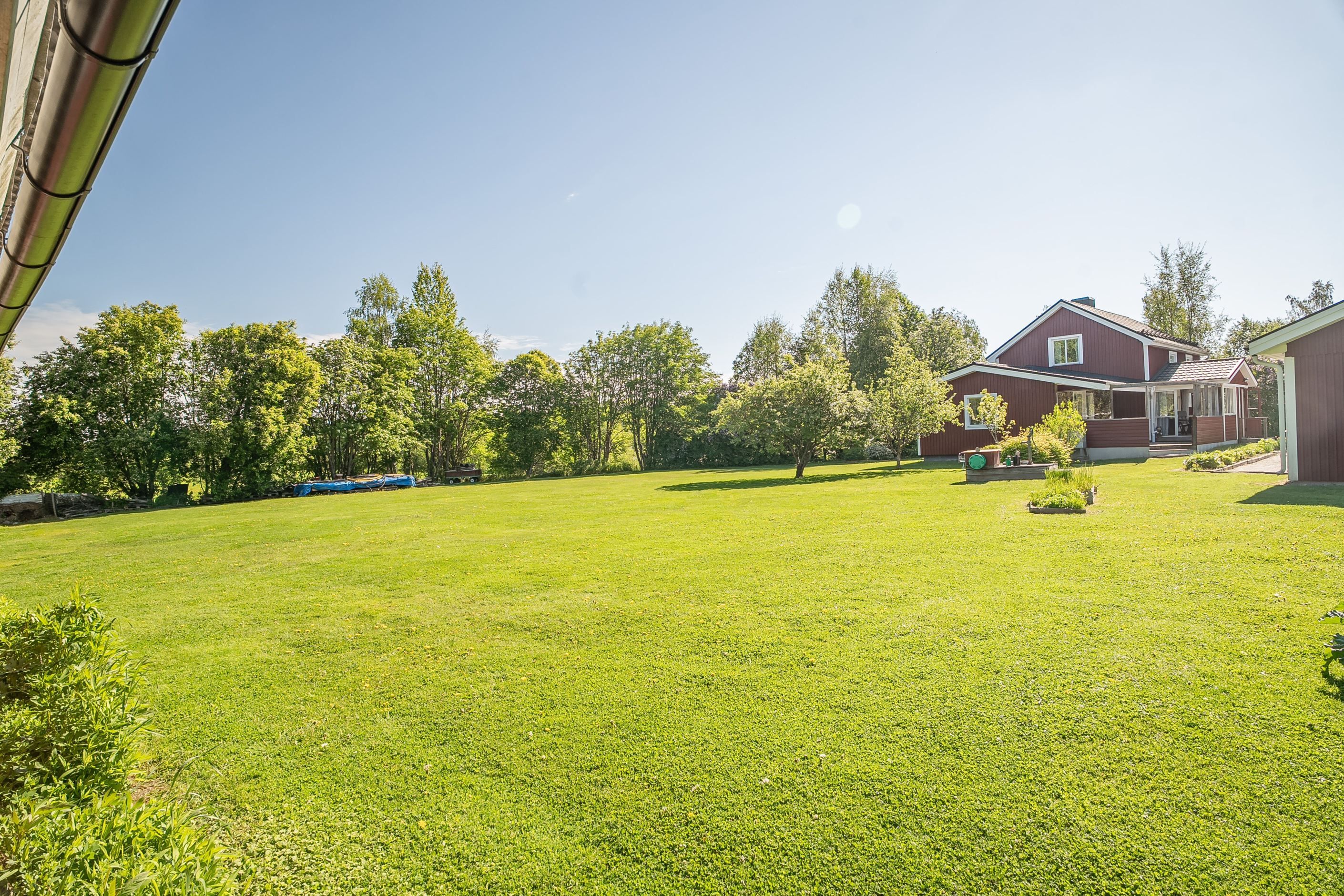 Trädgården