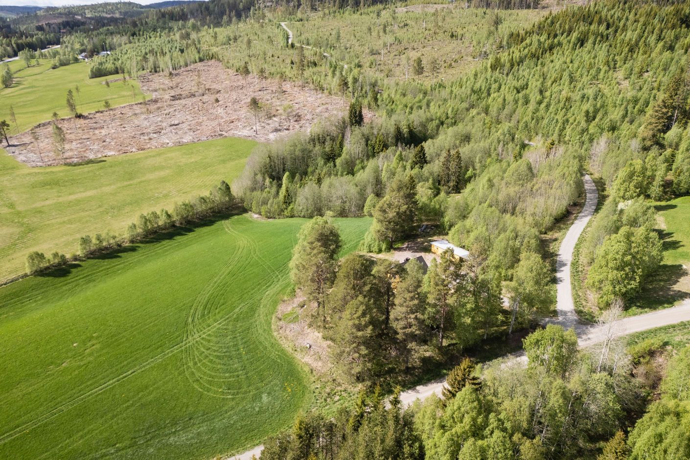 Välkommen till Sodalen 193