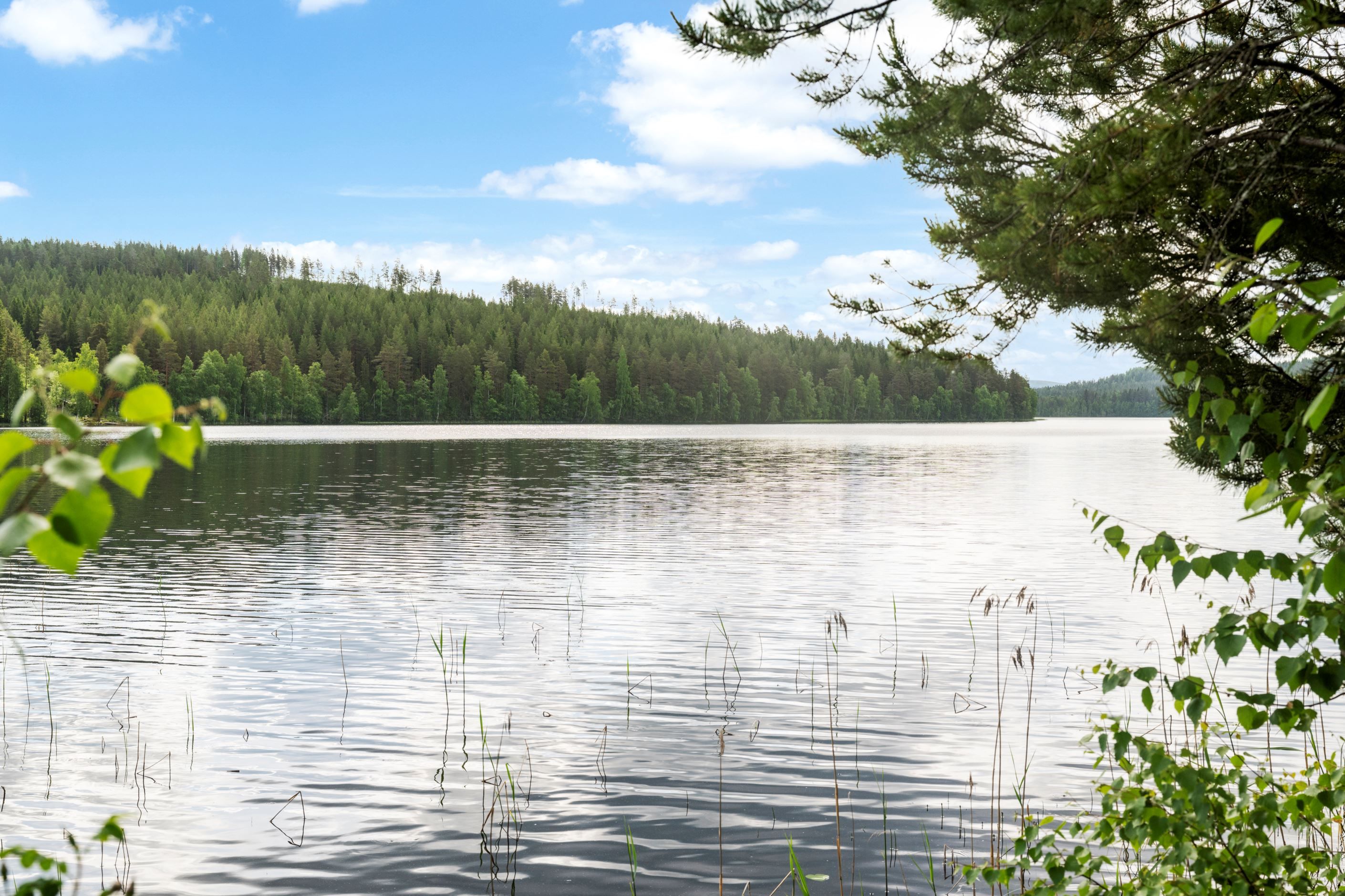 Vyn från bryggan