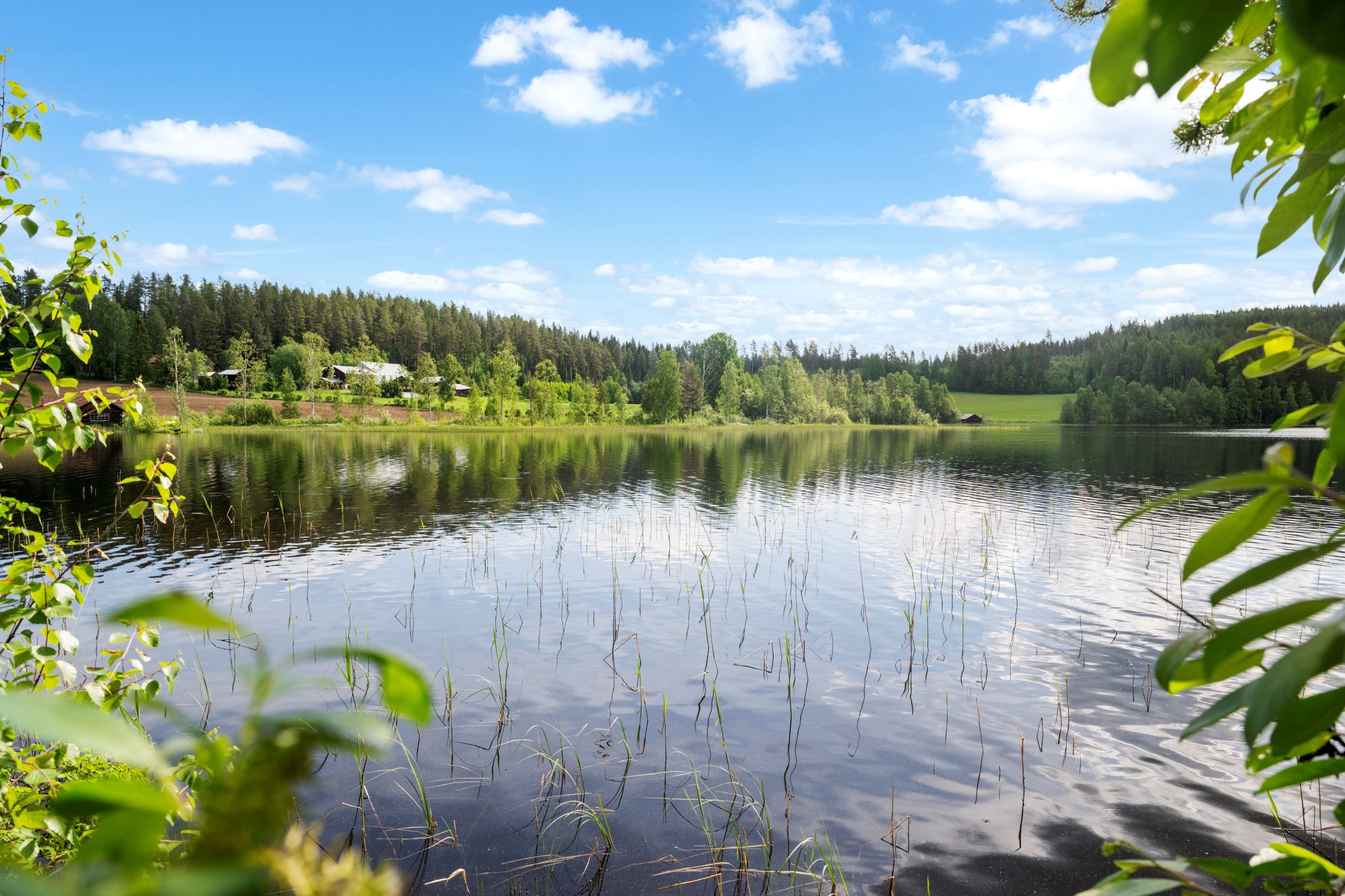 Vyn från bryggan