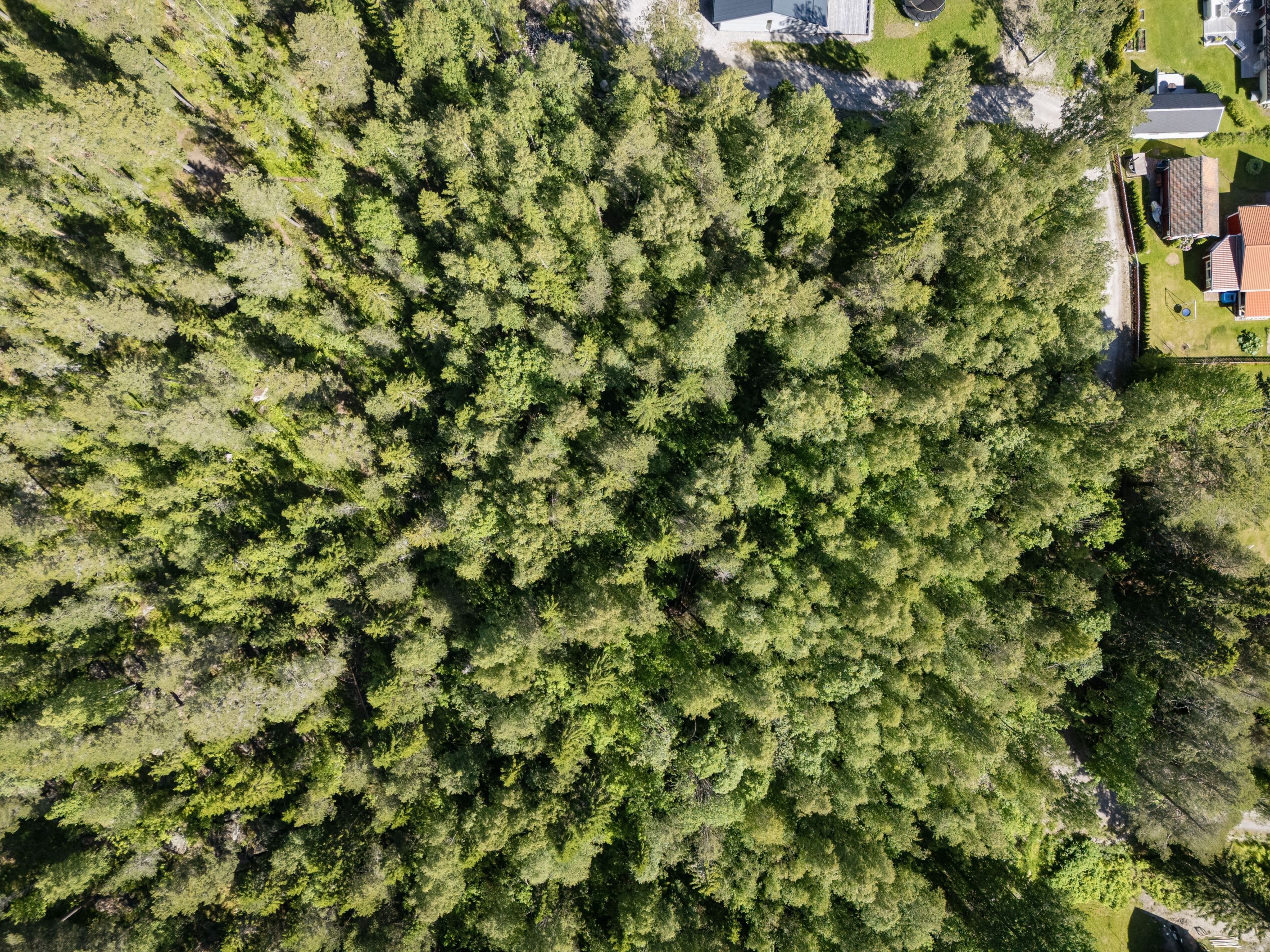 Välkomna till Flintåsvägen 12-22