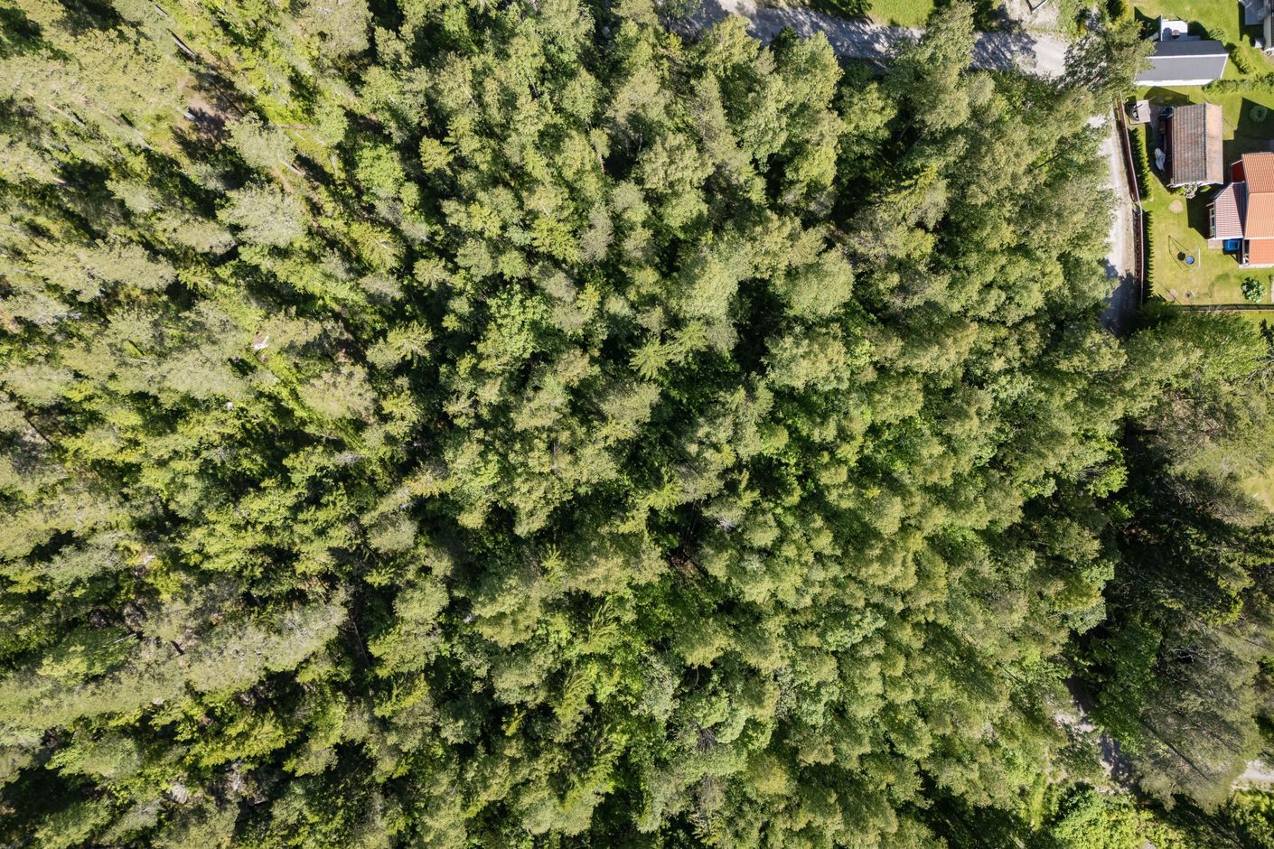 Välkomna till Flintåsvägen 12-22