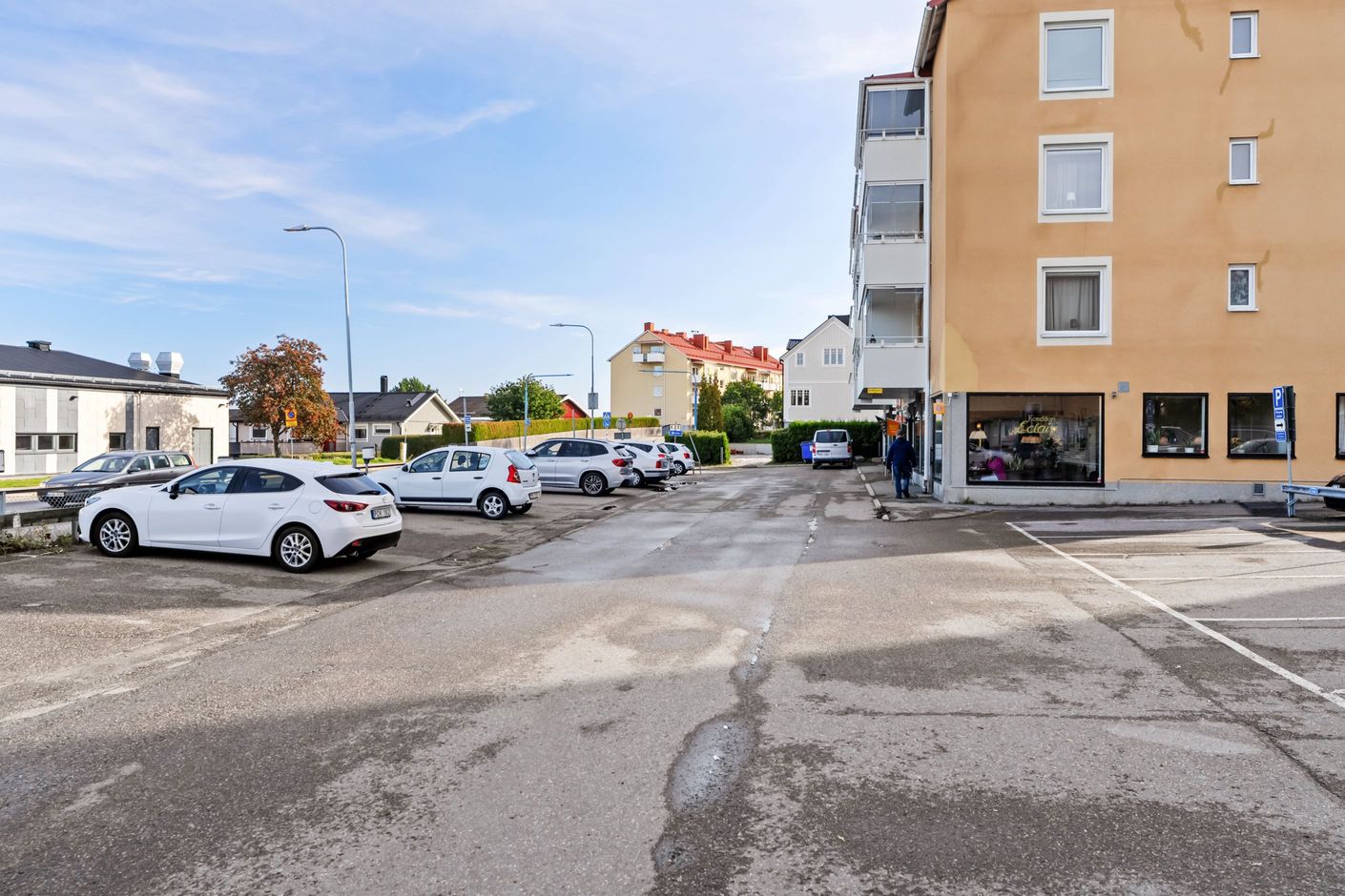 Exteriör