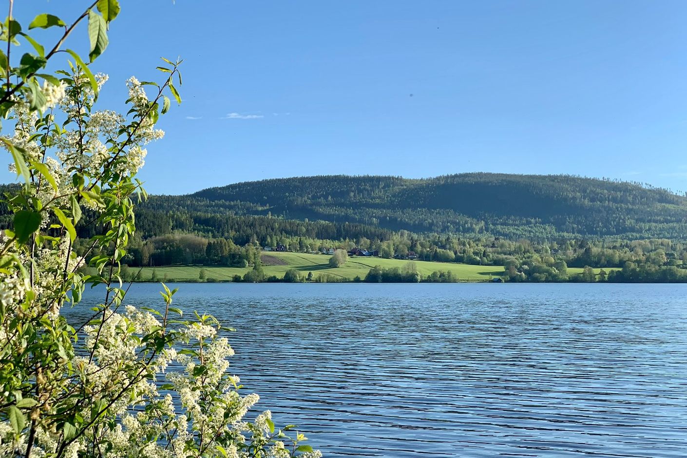 Närområde