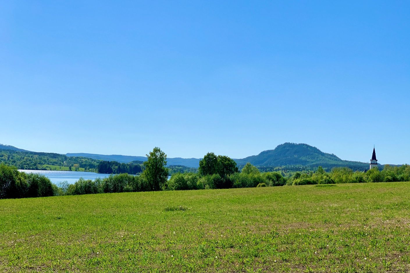 Närområde