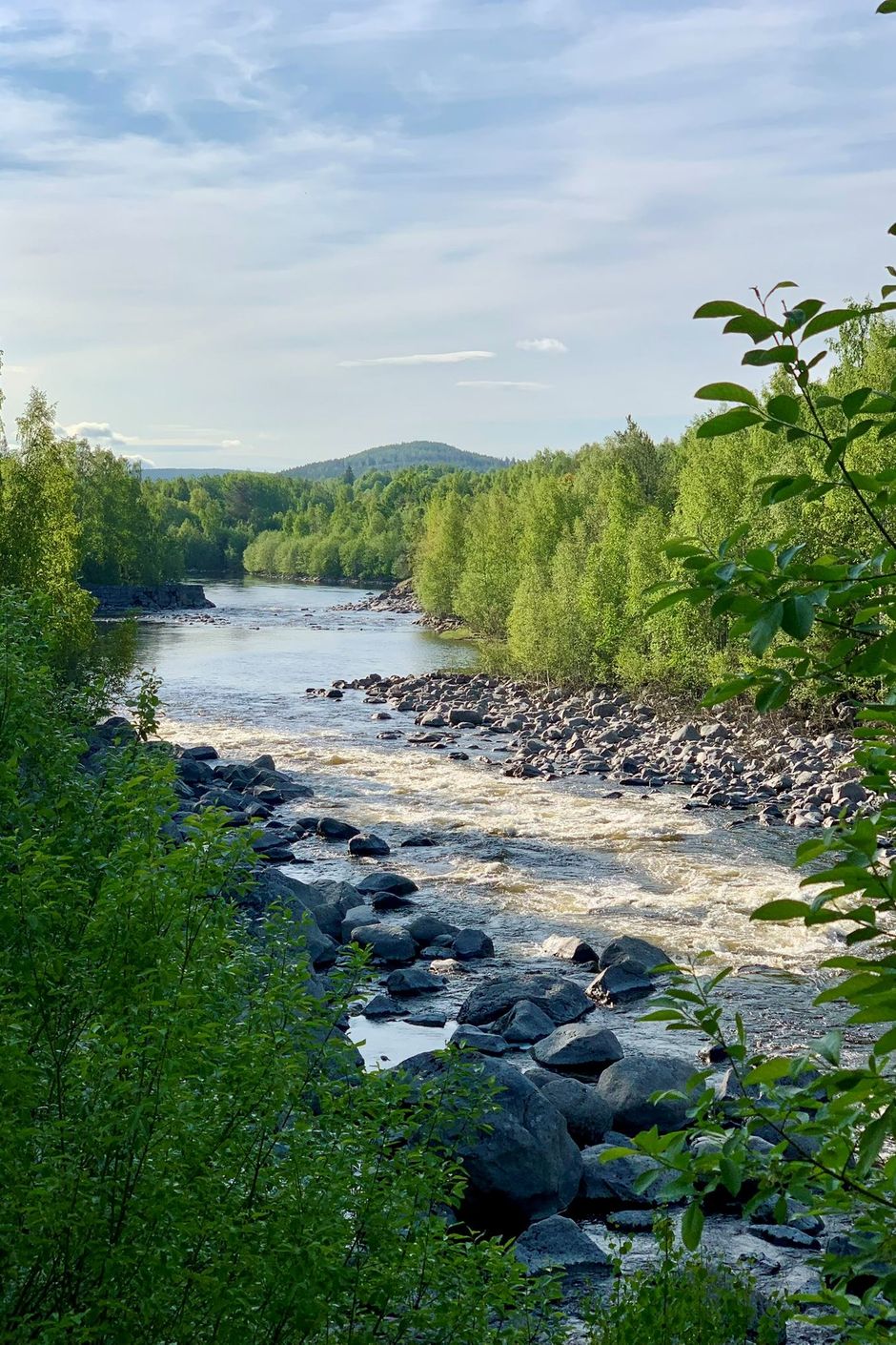 Närområde
