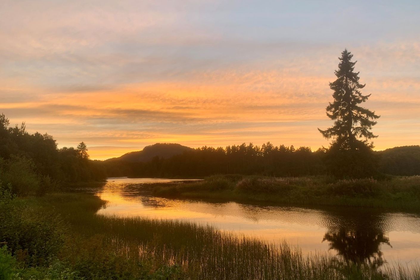 Närområde