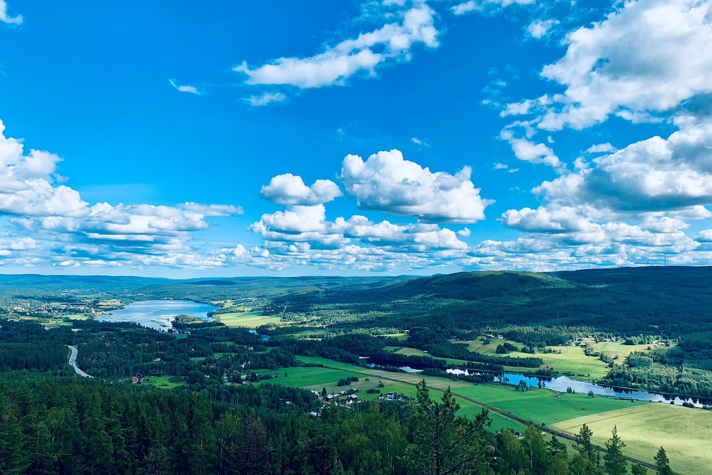 Närområde