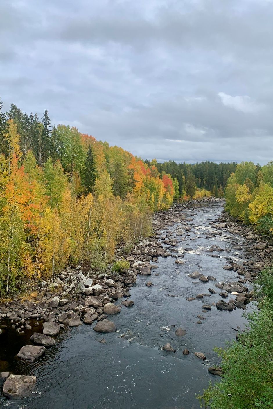 Närområde