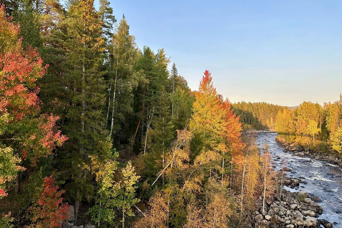 Närområde