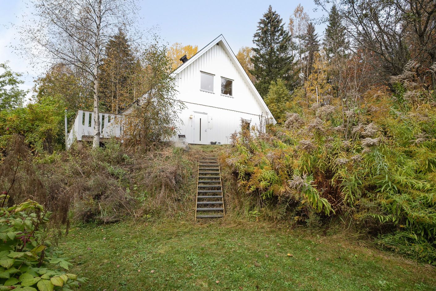 Trädgården