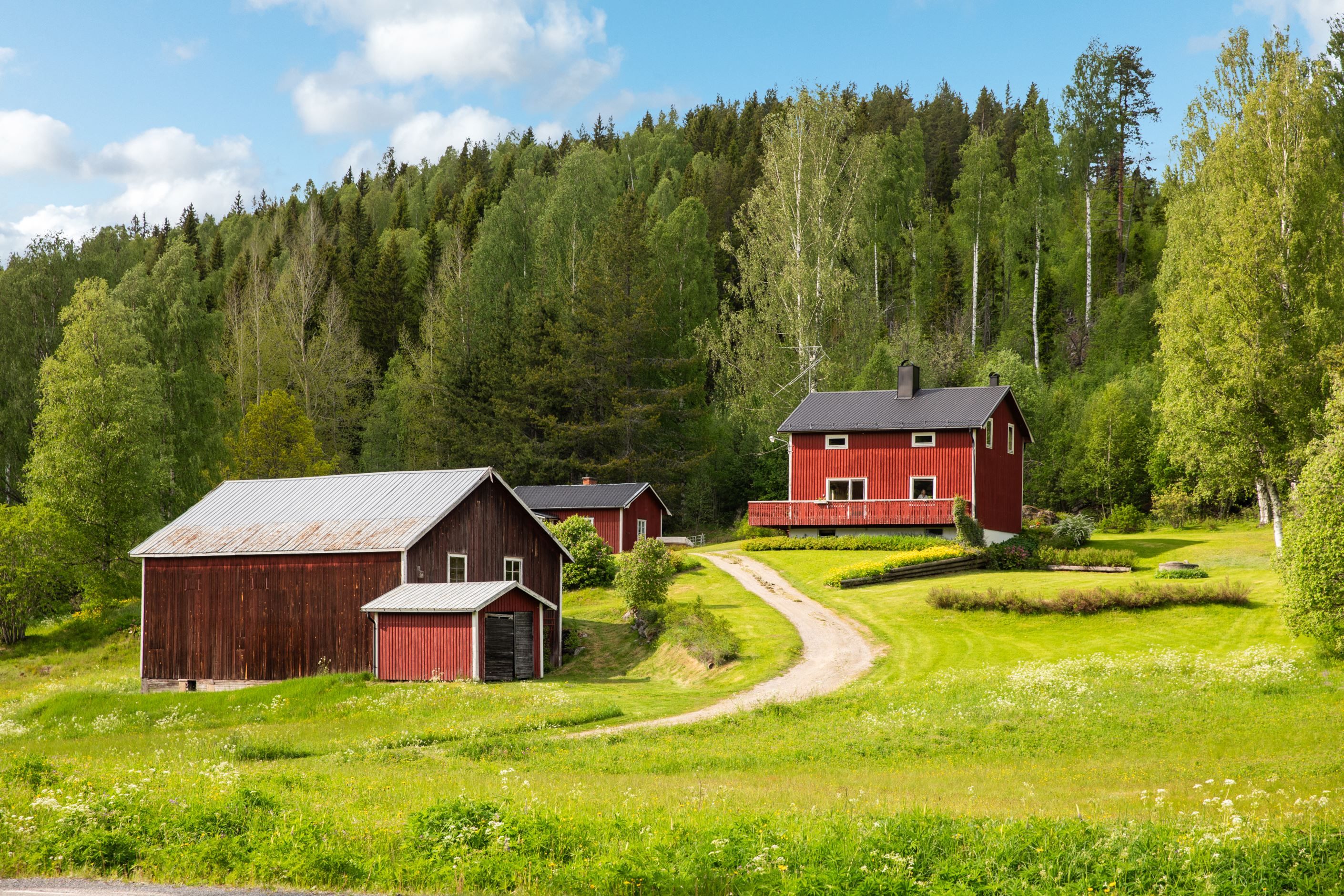 Välkommen till Nora 310