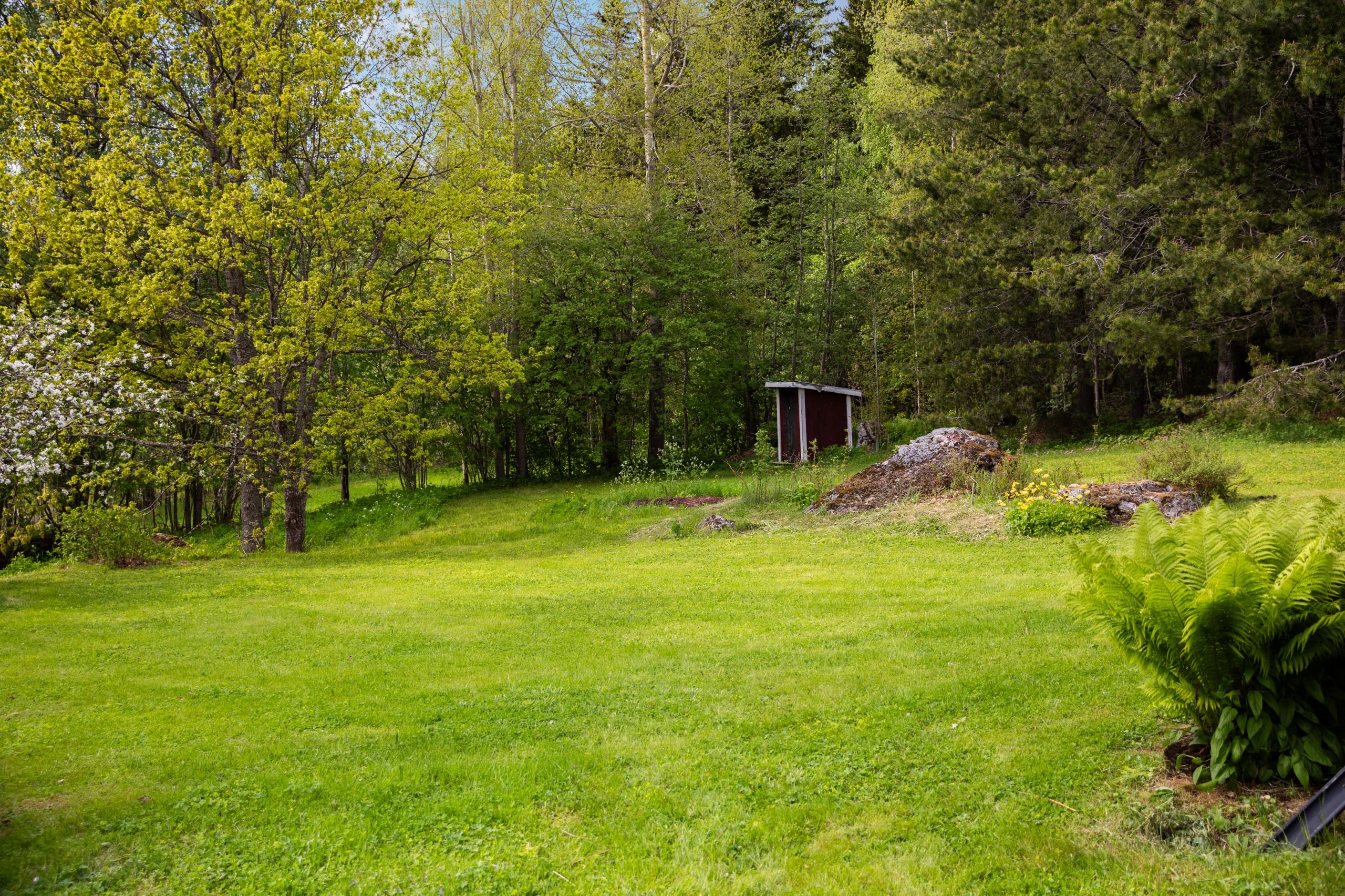 Välkommen till Nora 310