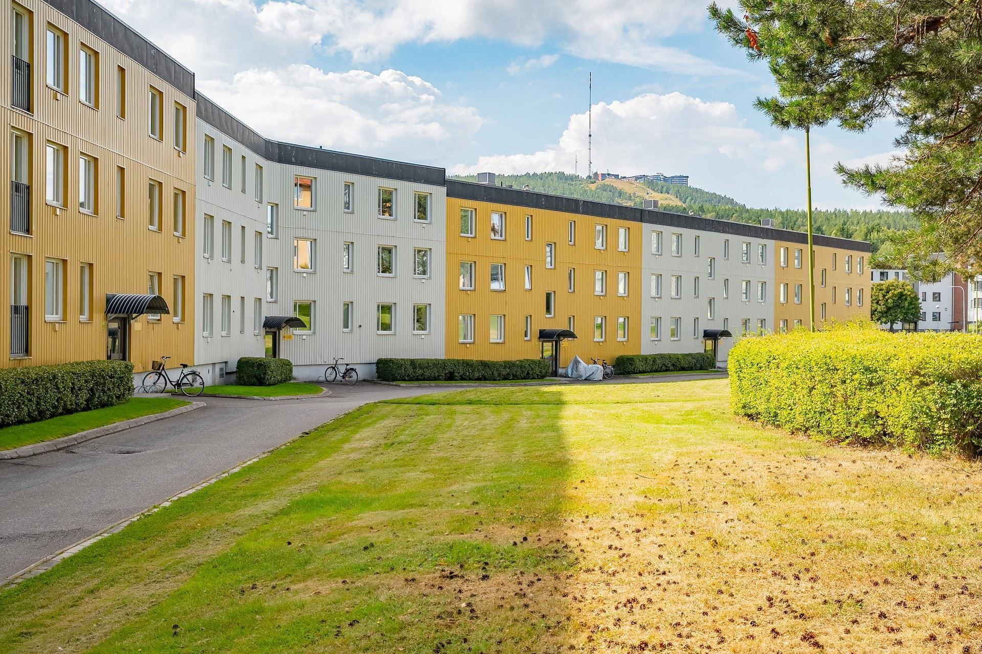 Välkomna till Kubikenborgsgatan 17