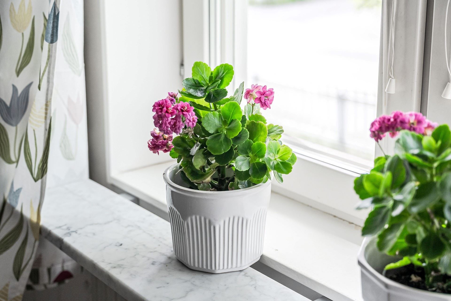 Detaljbild
