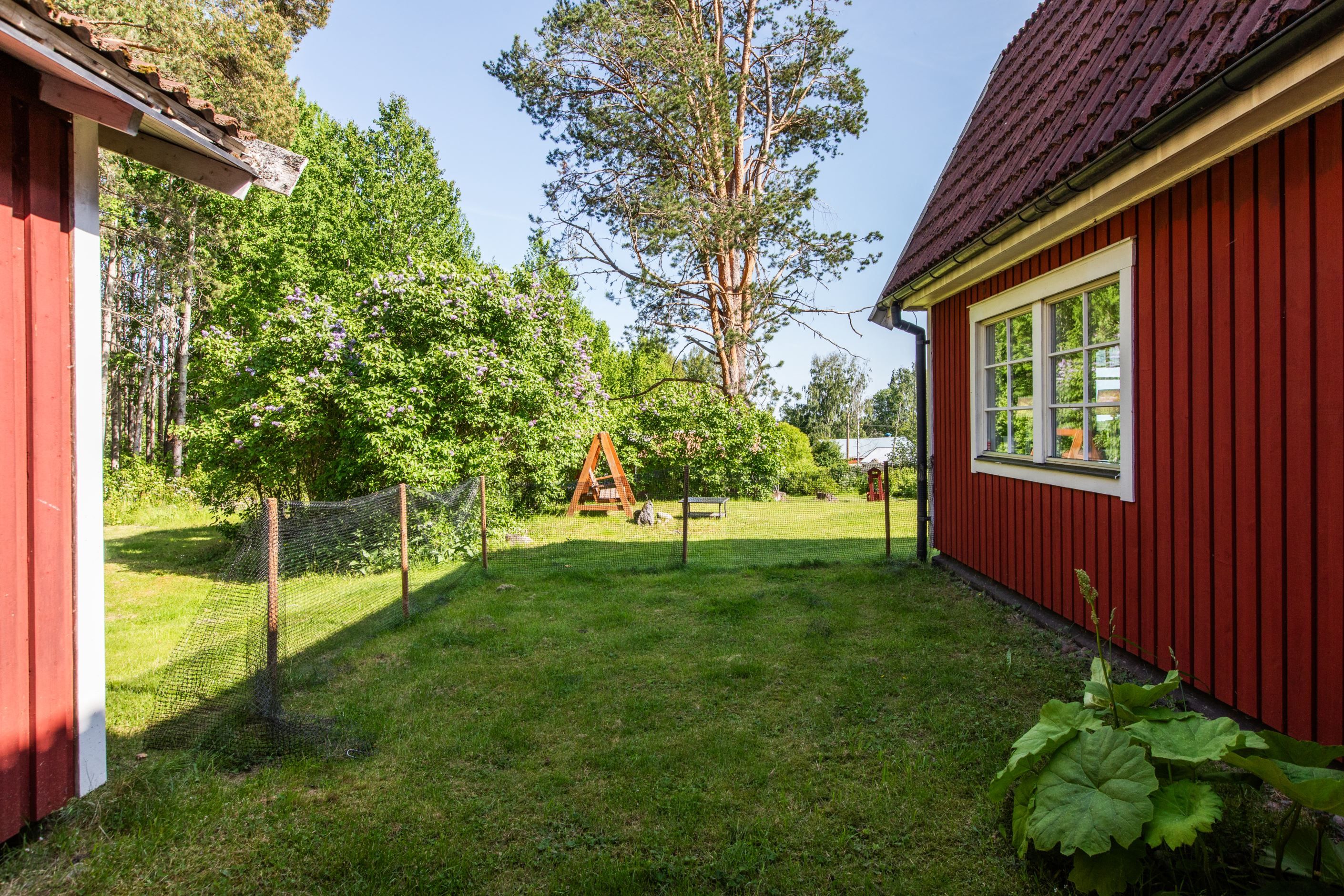 Trädgården
