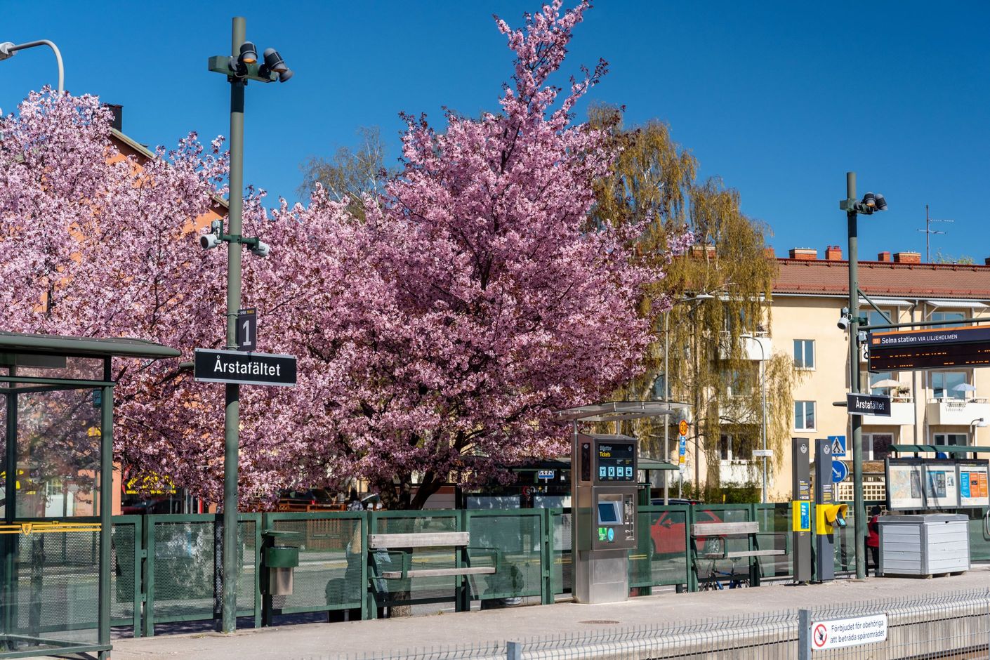 Årstafältet