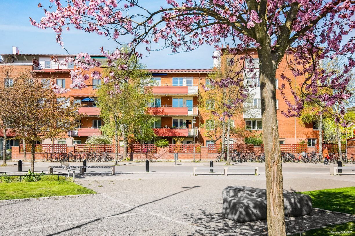Fasadbild Skarpnäcks allé 37 från närliggande park