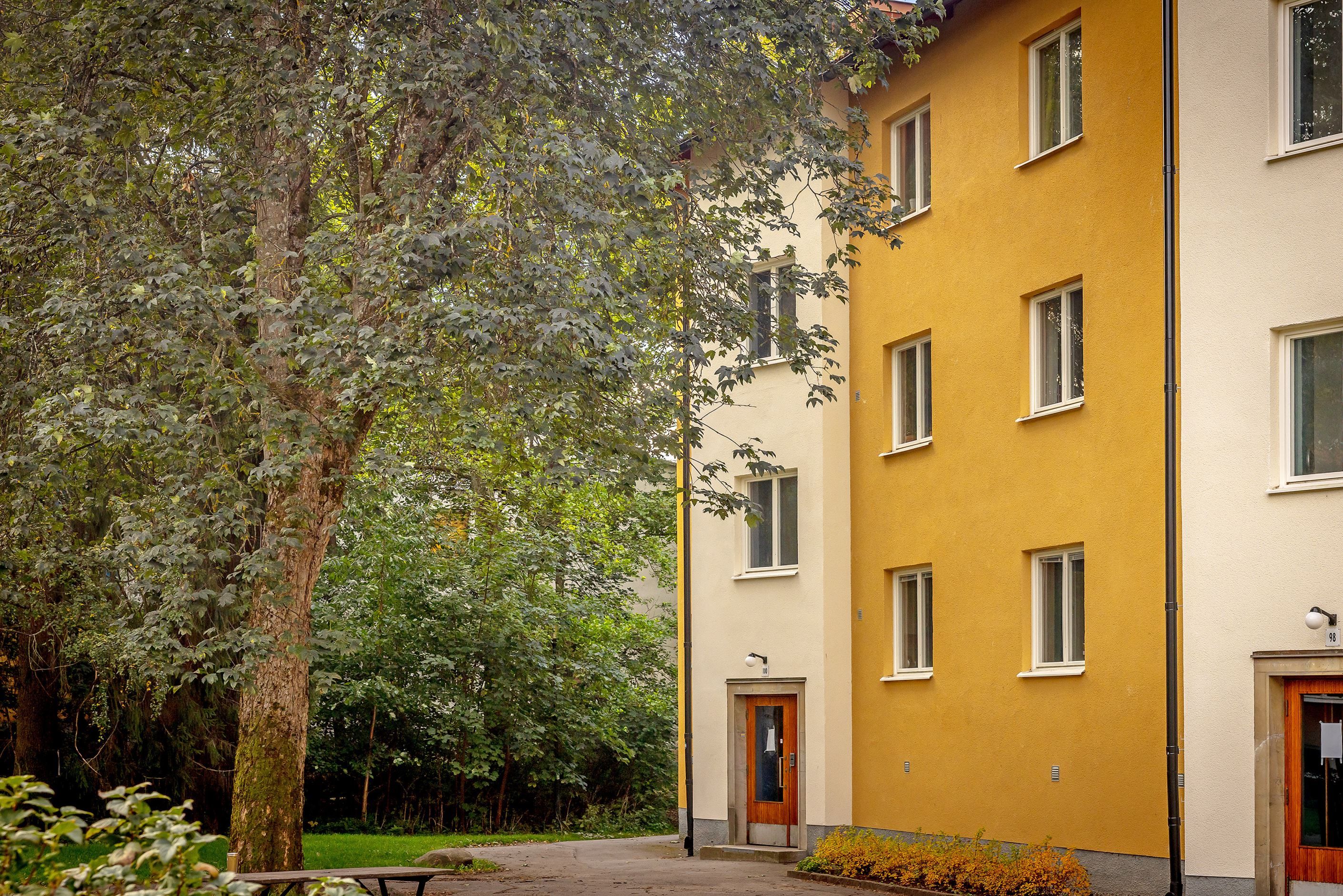 Exteriör