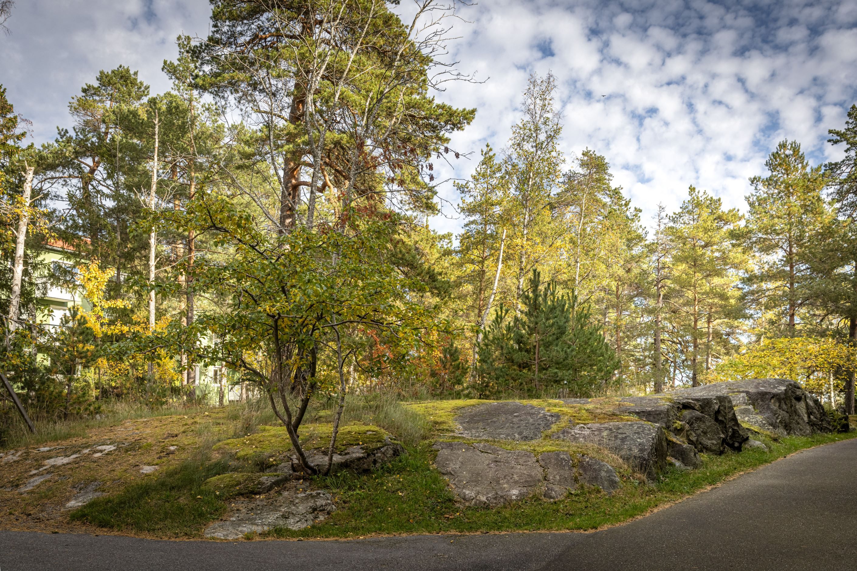 Exteriör