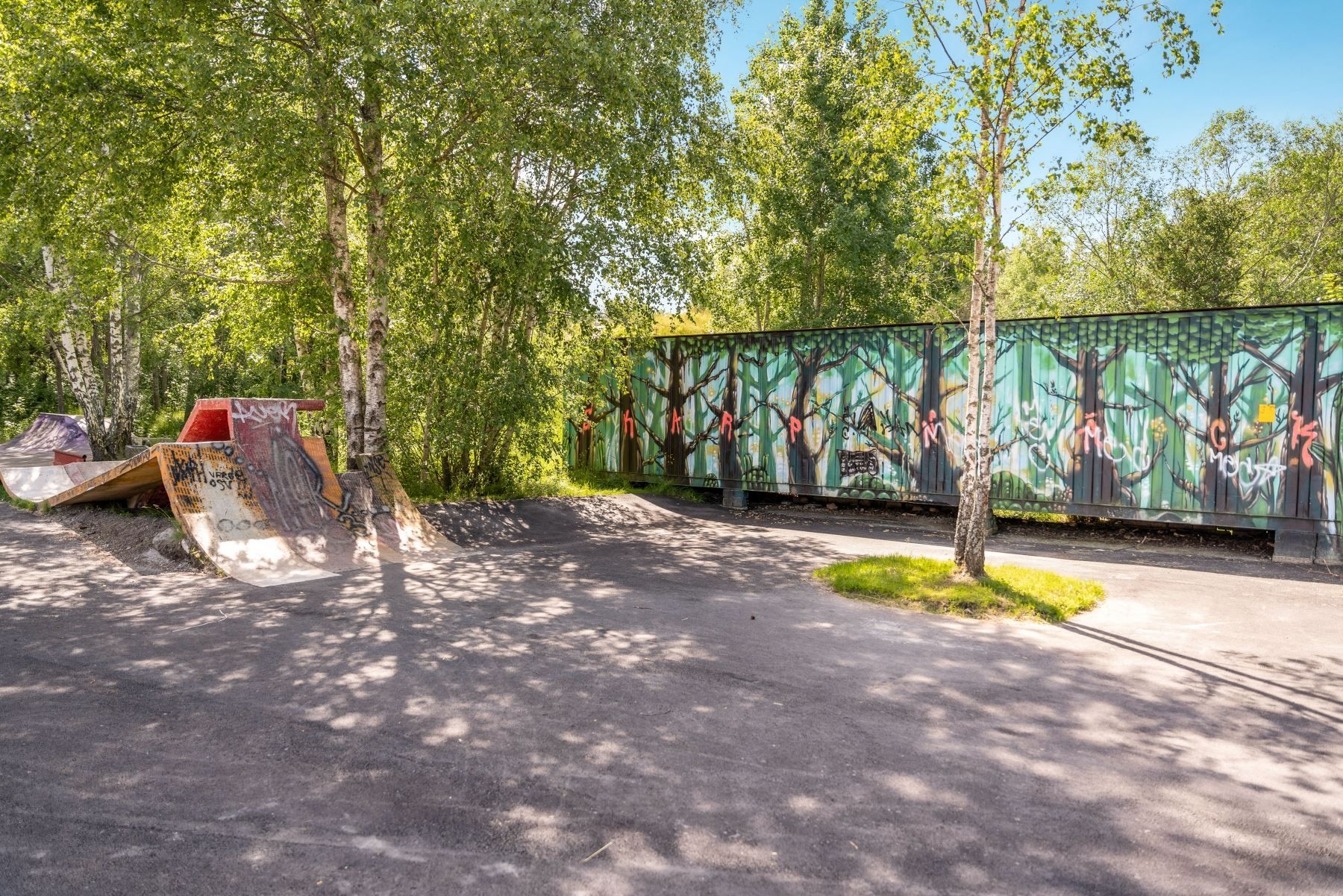 Skatepark i området