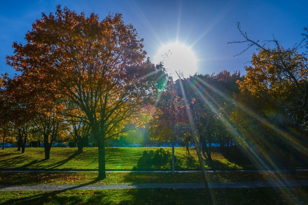 Nytorpsgärde mot Dalens sjukhus