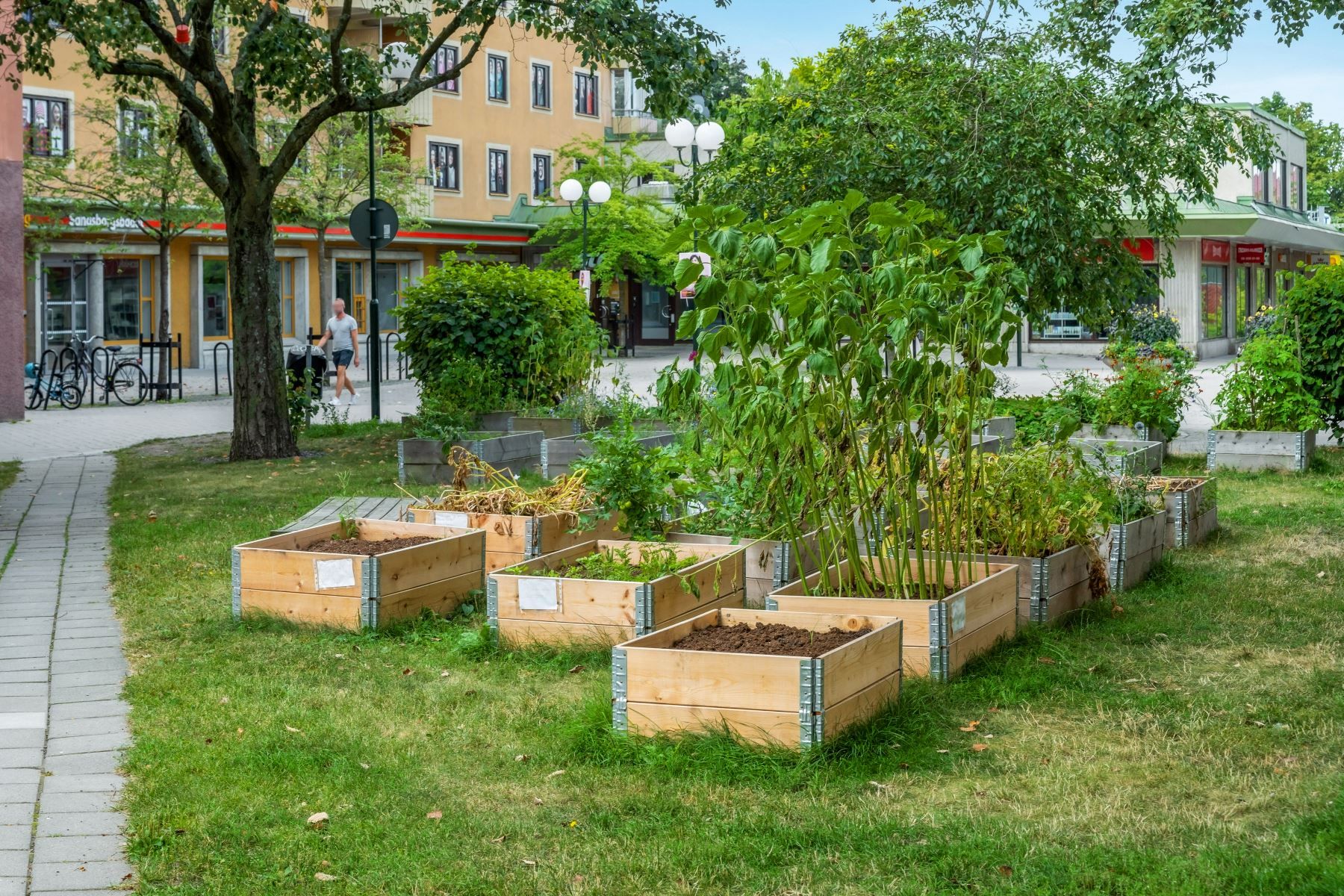 Grönt tänk i Sandsborgs centrum