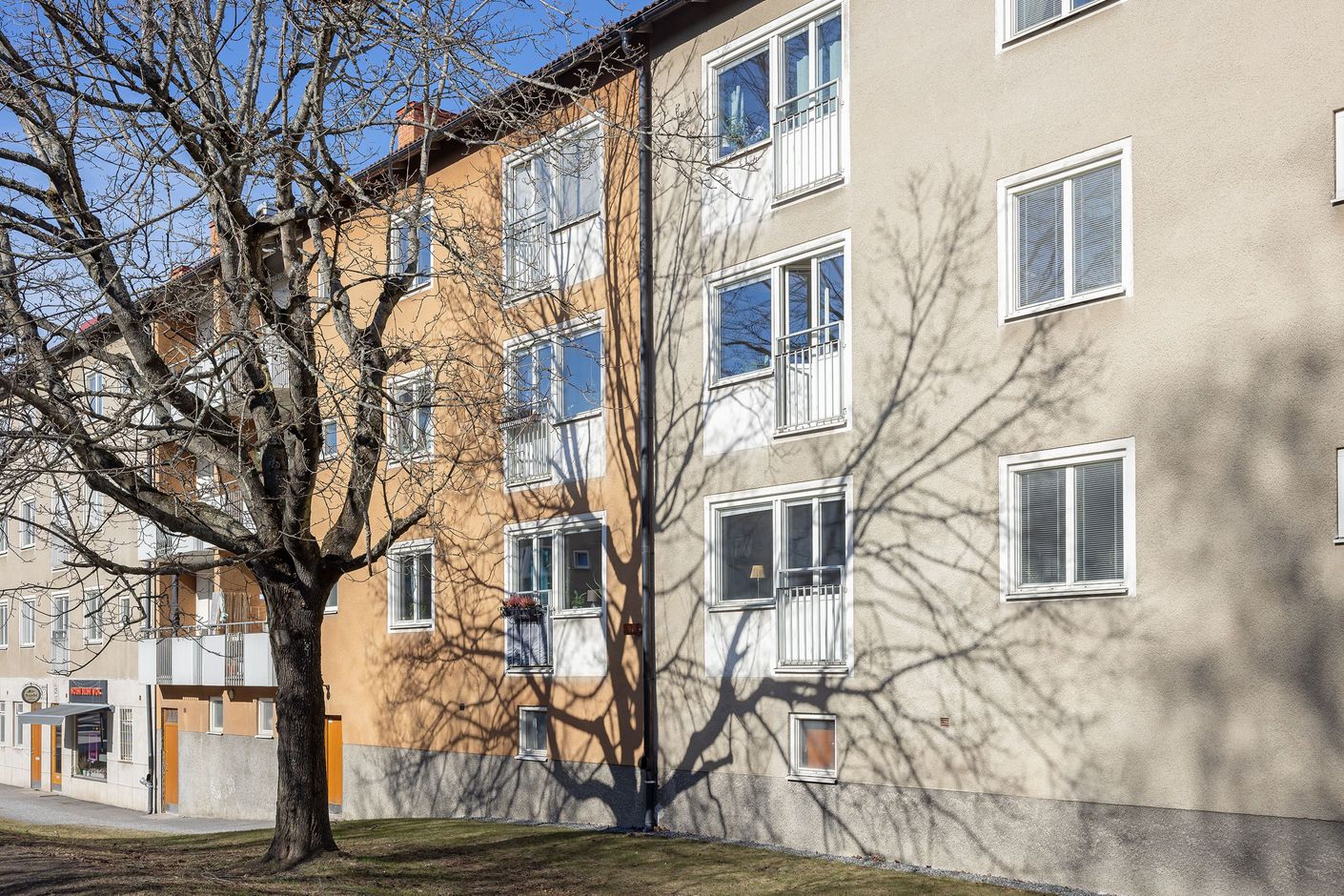 Exteriör