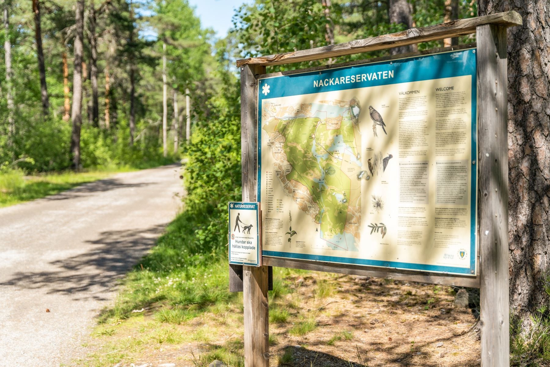Områdesbild
