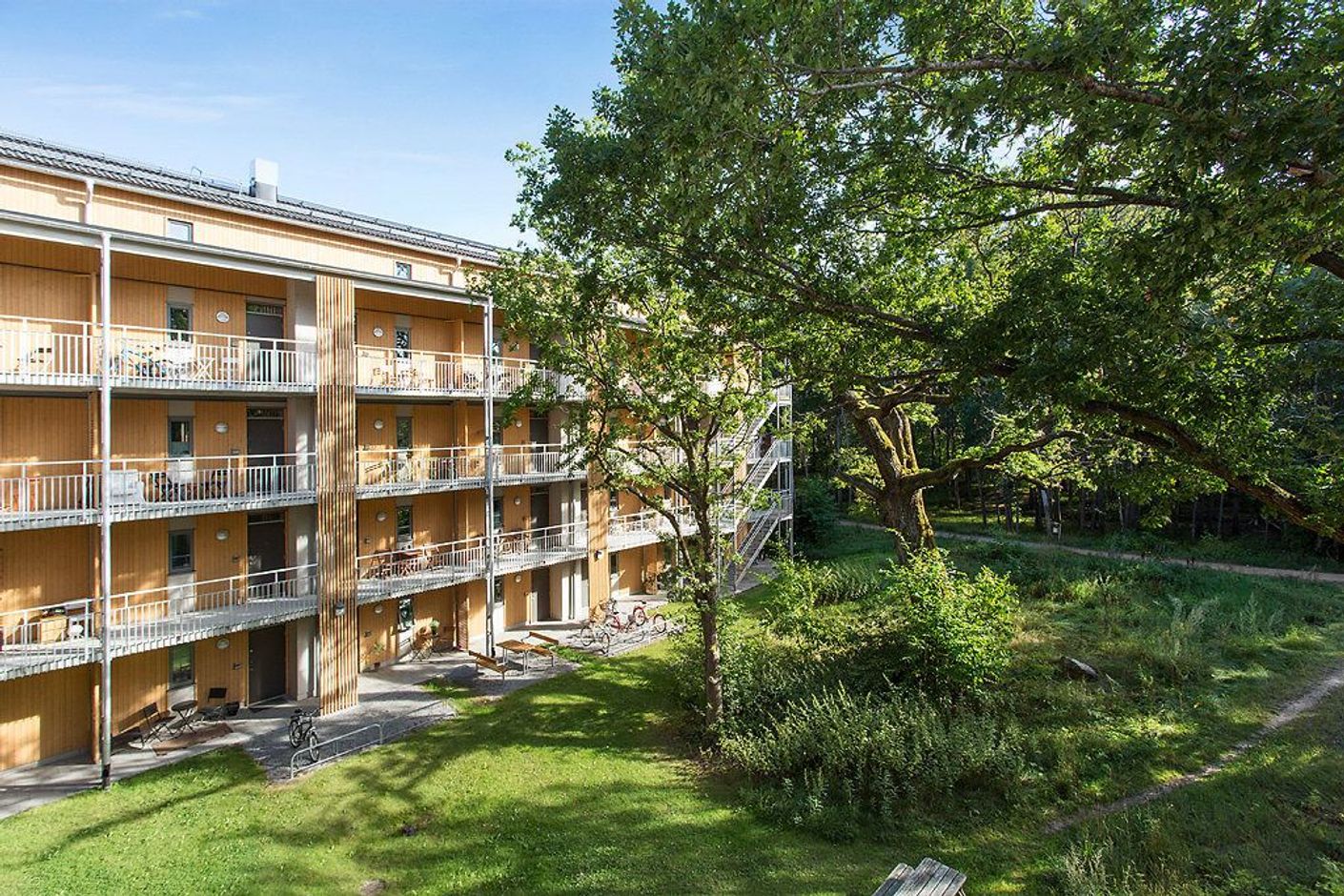 Grönskande innergård