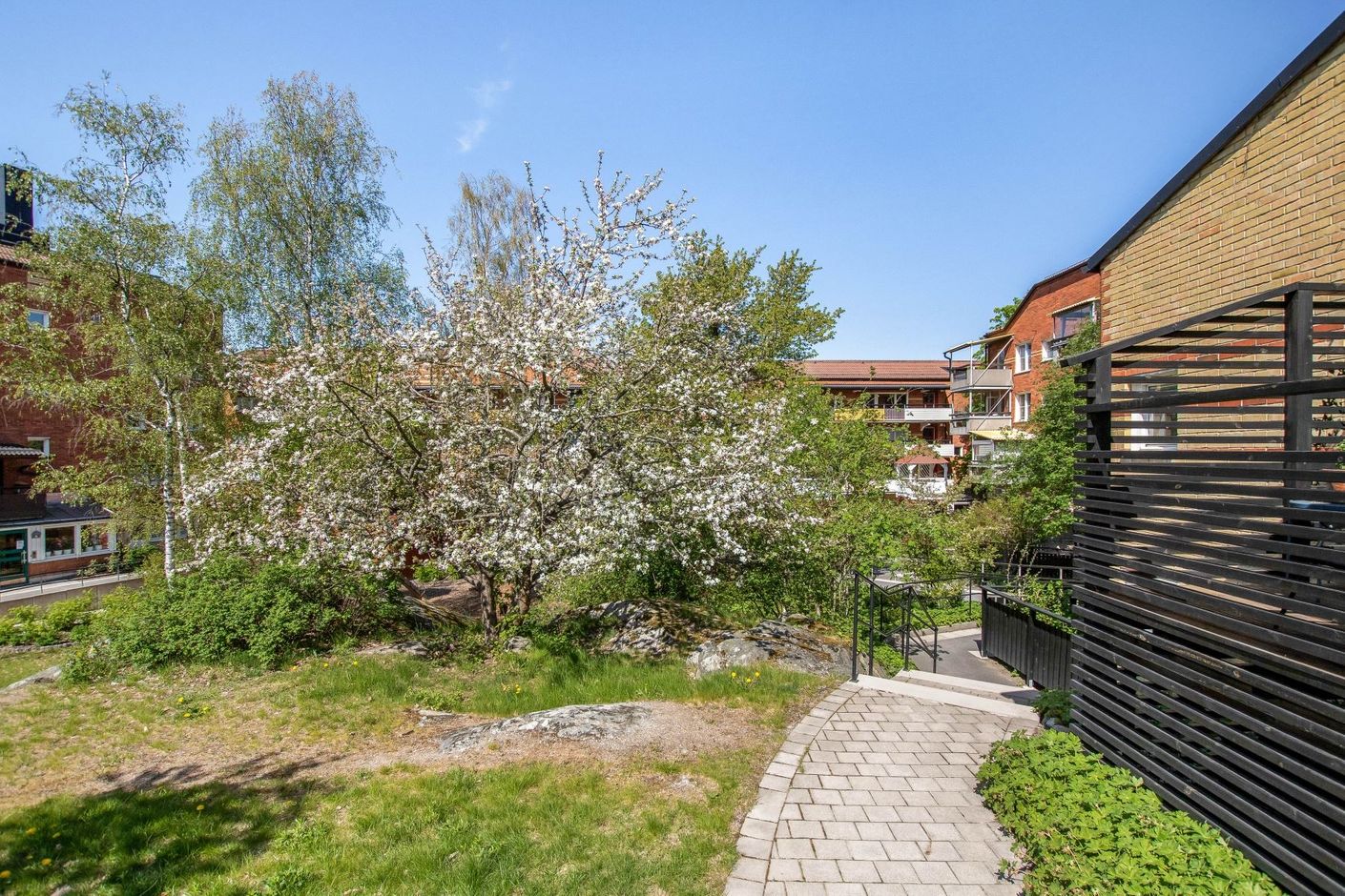 Föreningens innergård