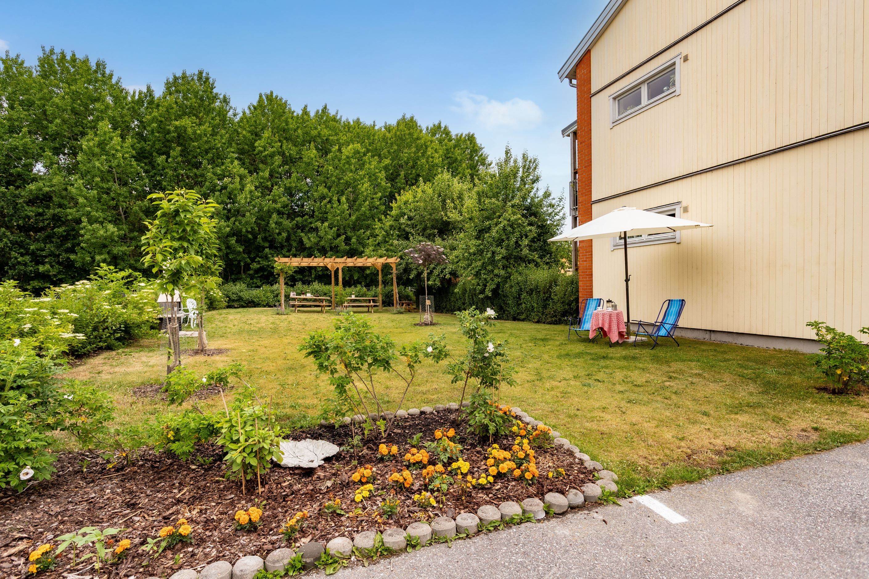 Gemensam trädgård med pergola