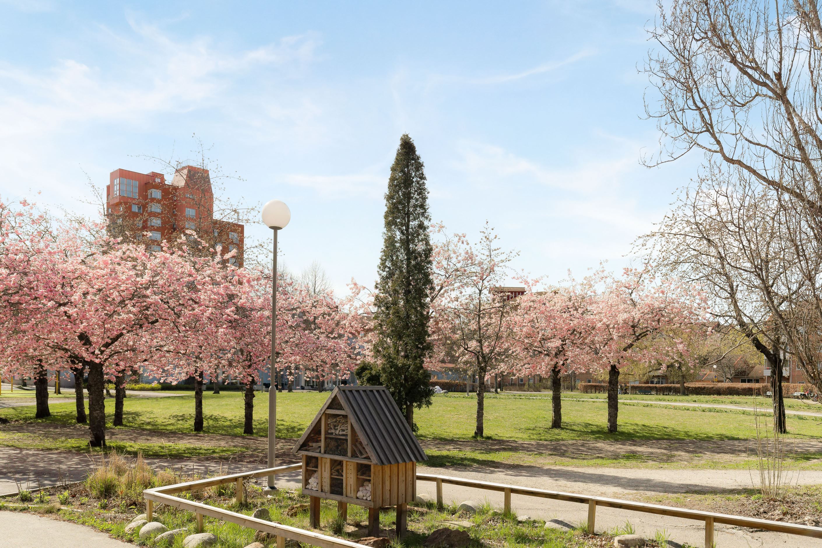 Skarpnäcksparken
