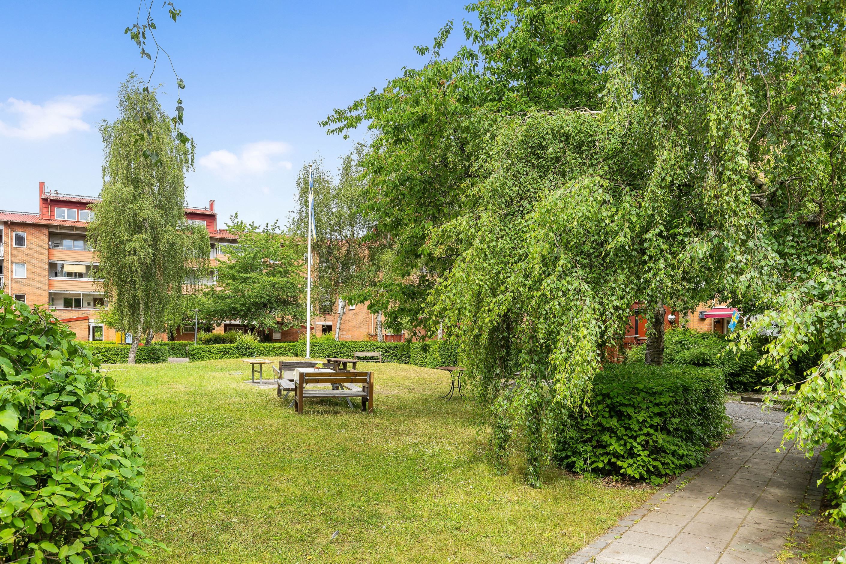 Föreningens innergård