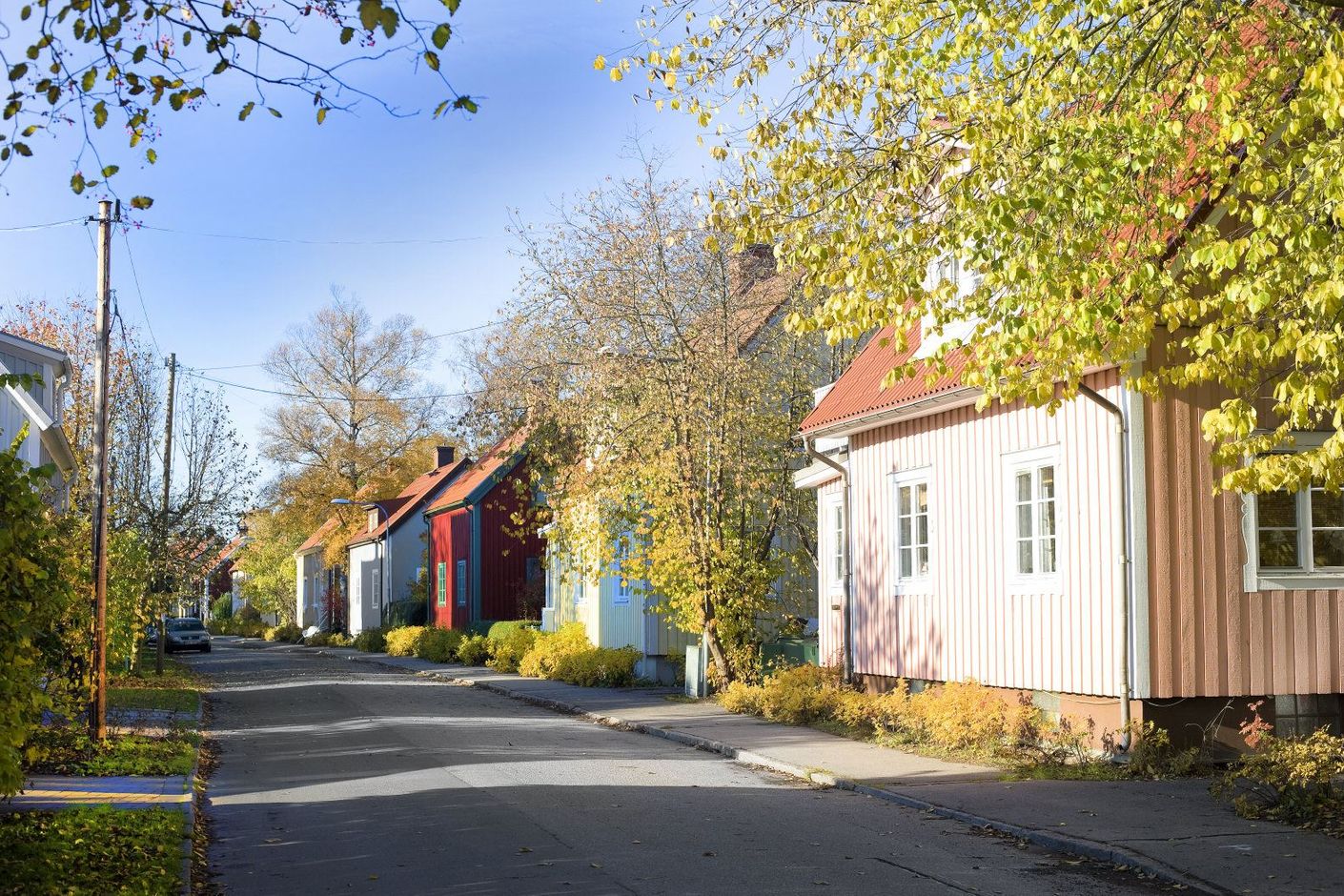 Området
