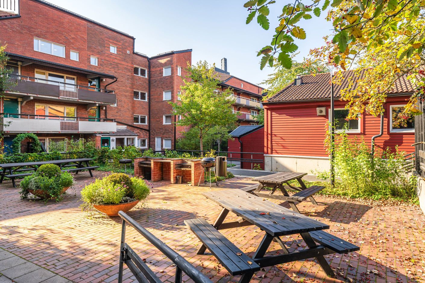 Föreningens innergård