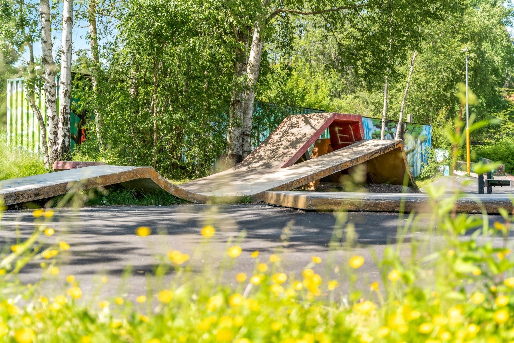 Skatepark i området