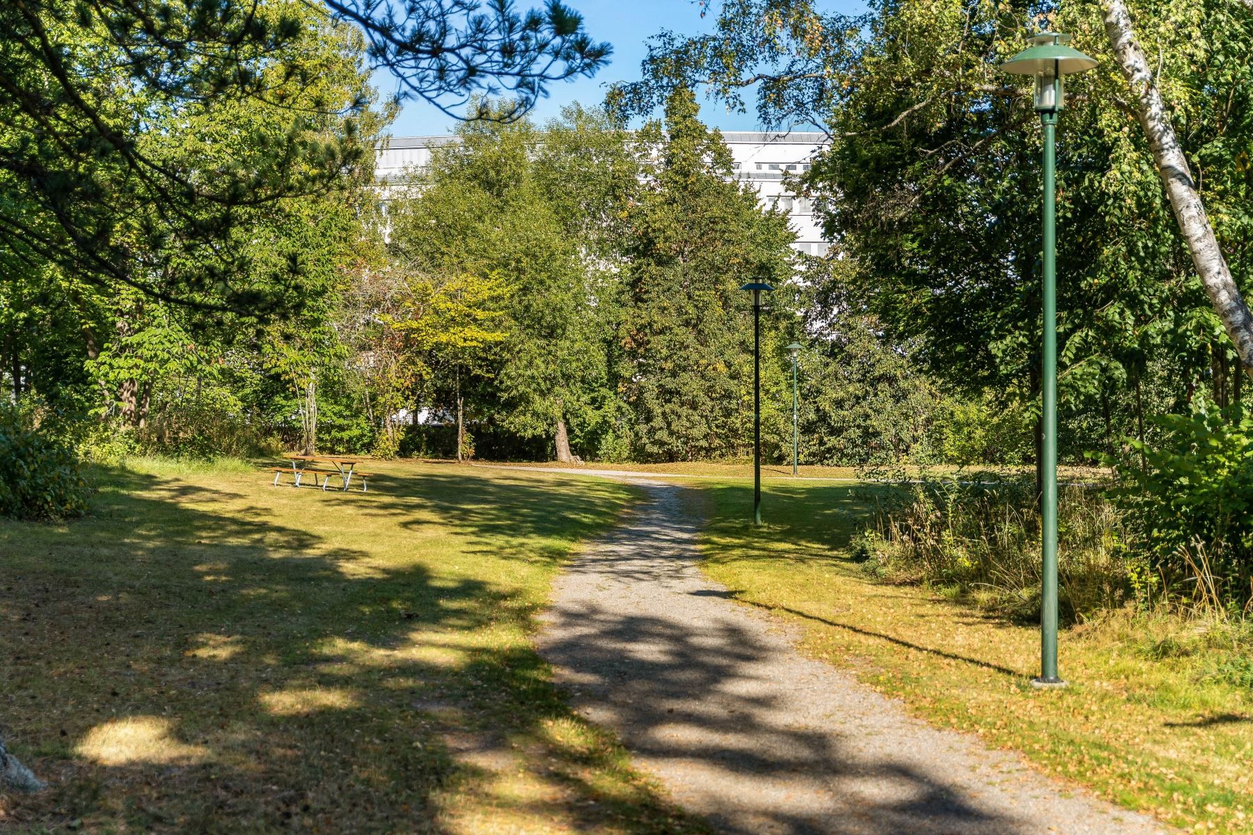 Grönskande omgivningar