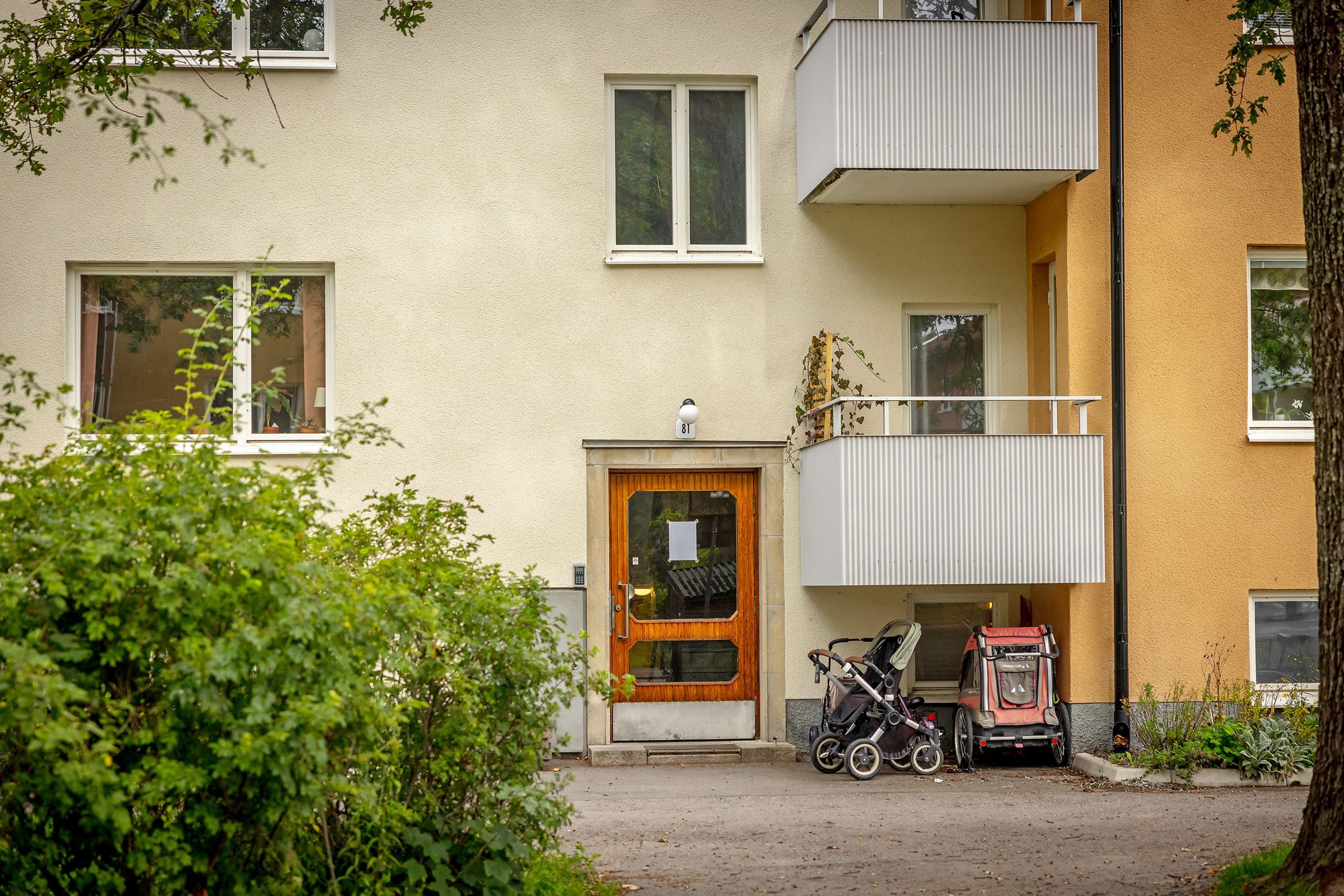Exteriör