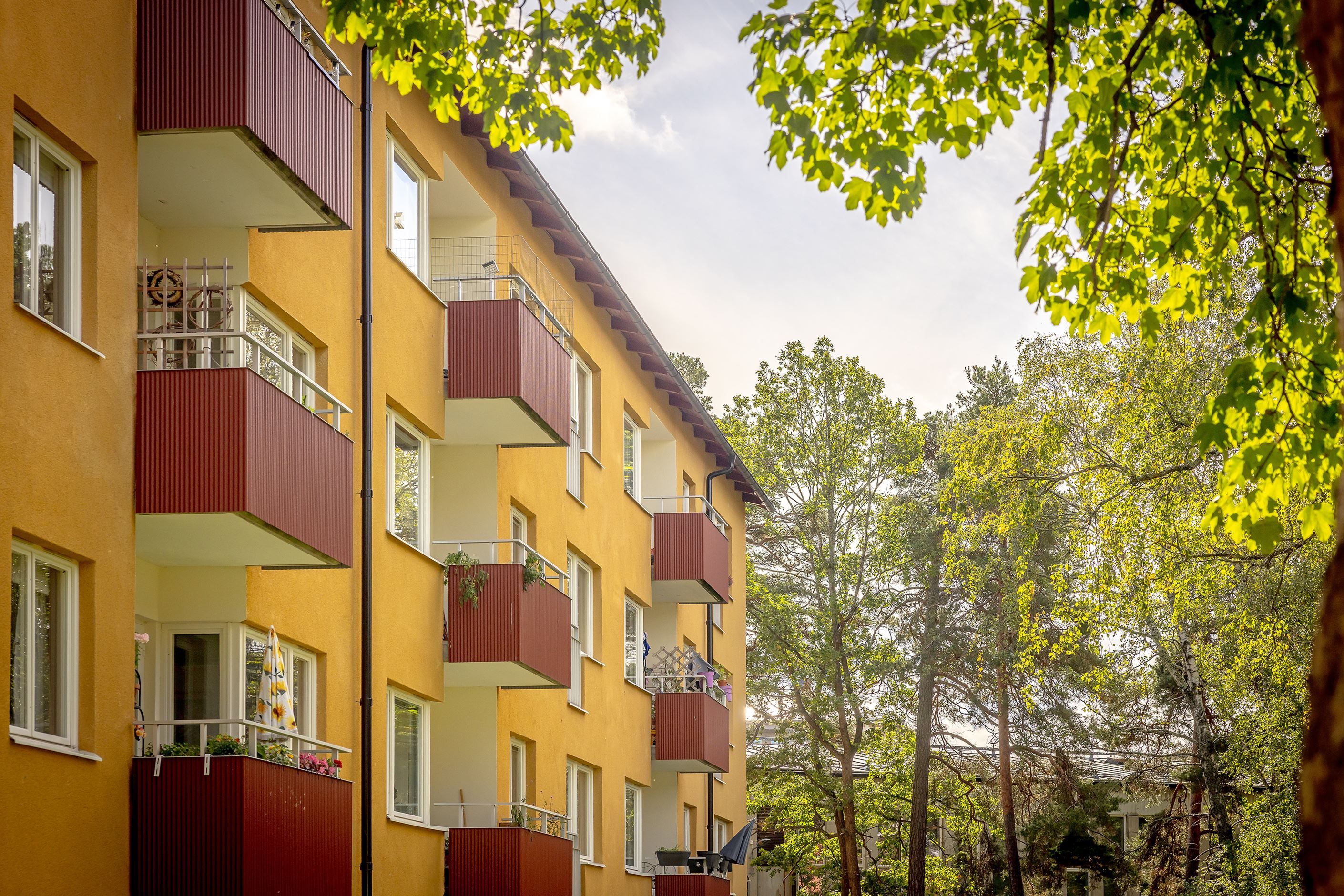 Exteriör