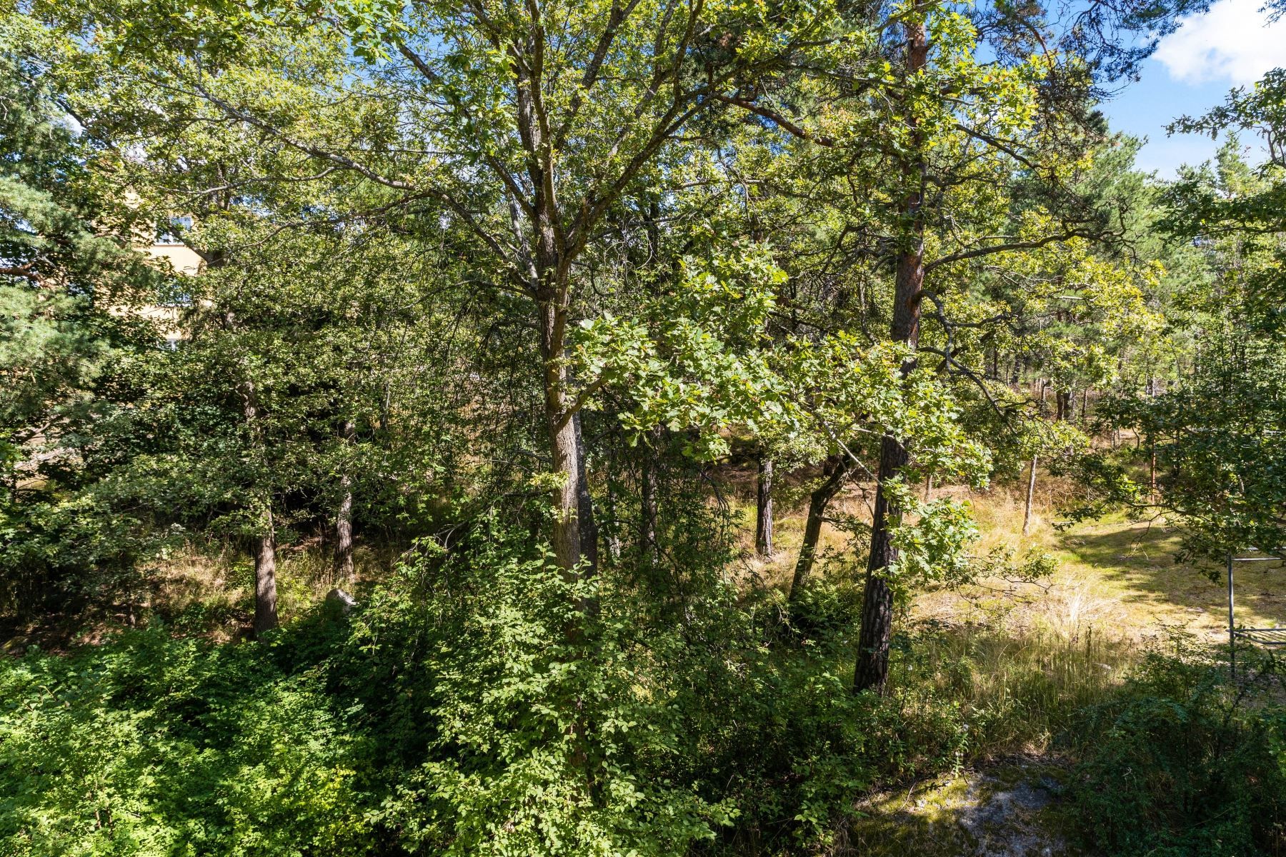 Utsikten från kök och sovrum