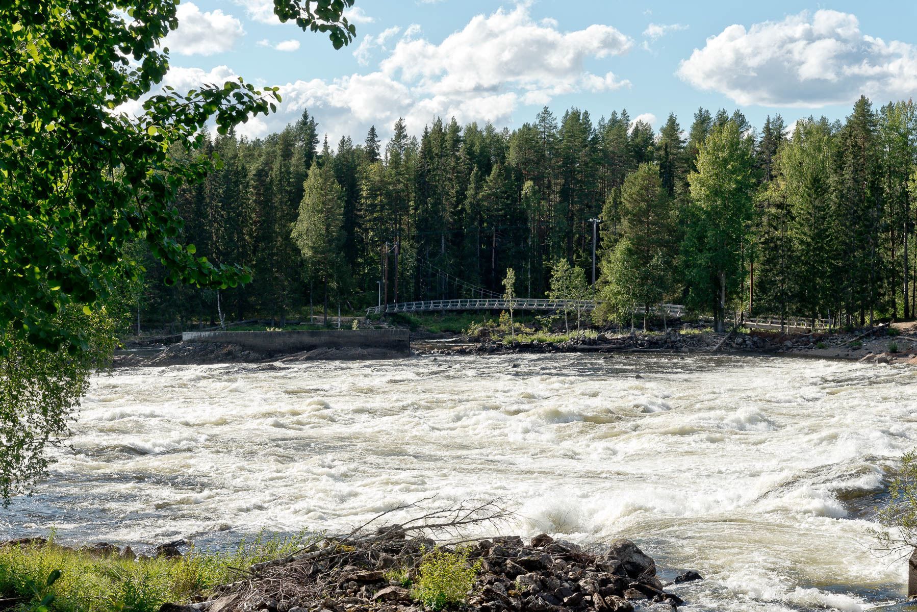 Vackra Vindelälven med trevliga promenadstråk runt broarna