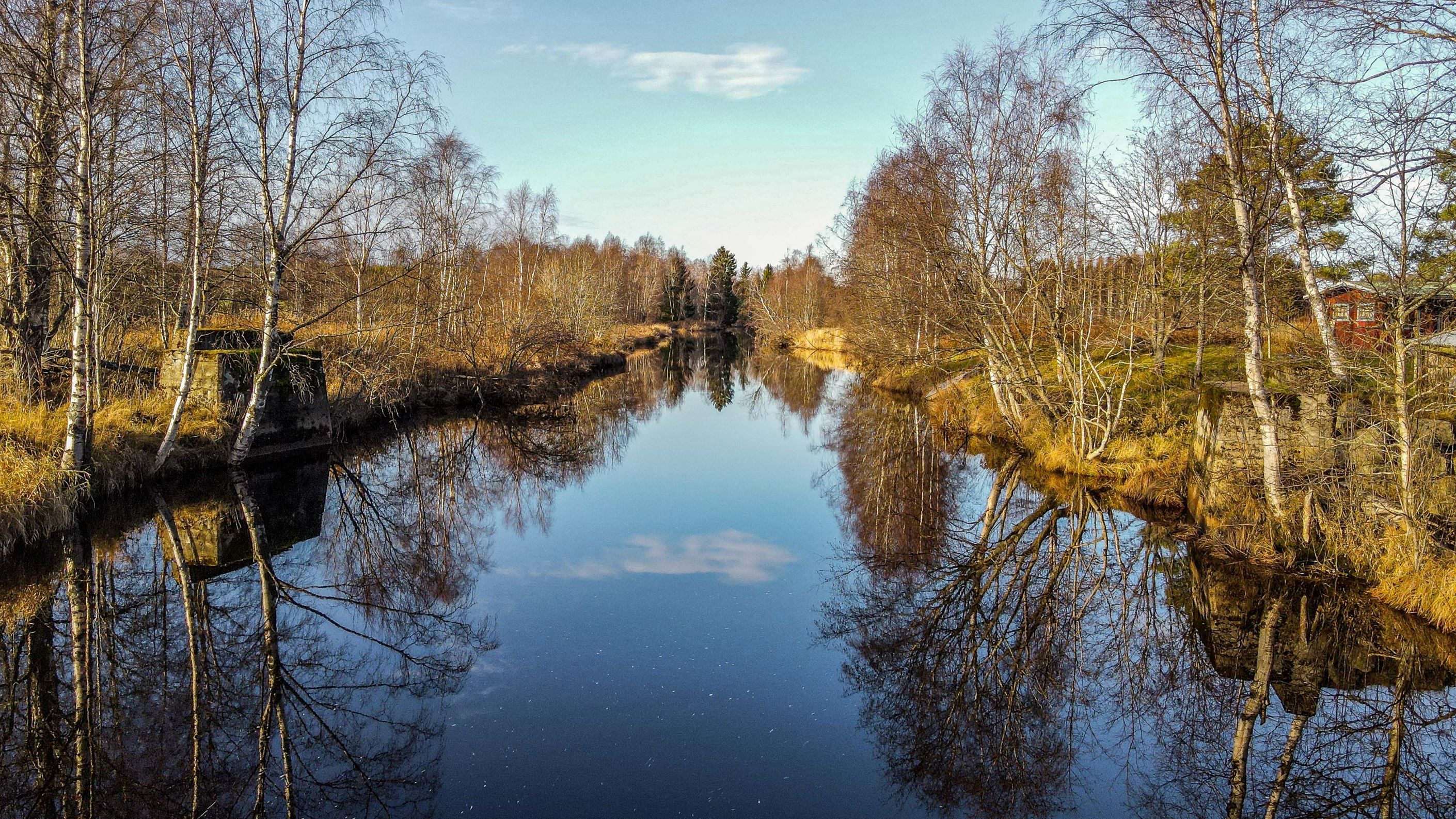 Intill tomten