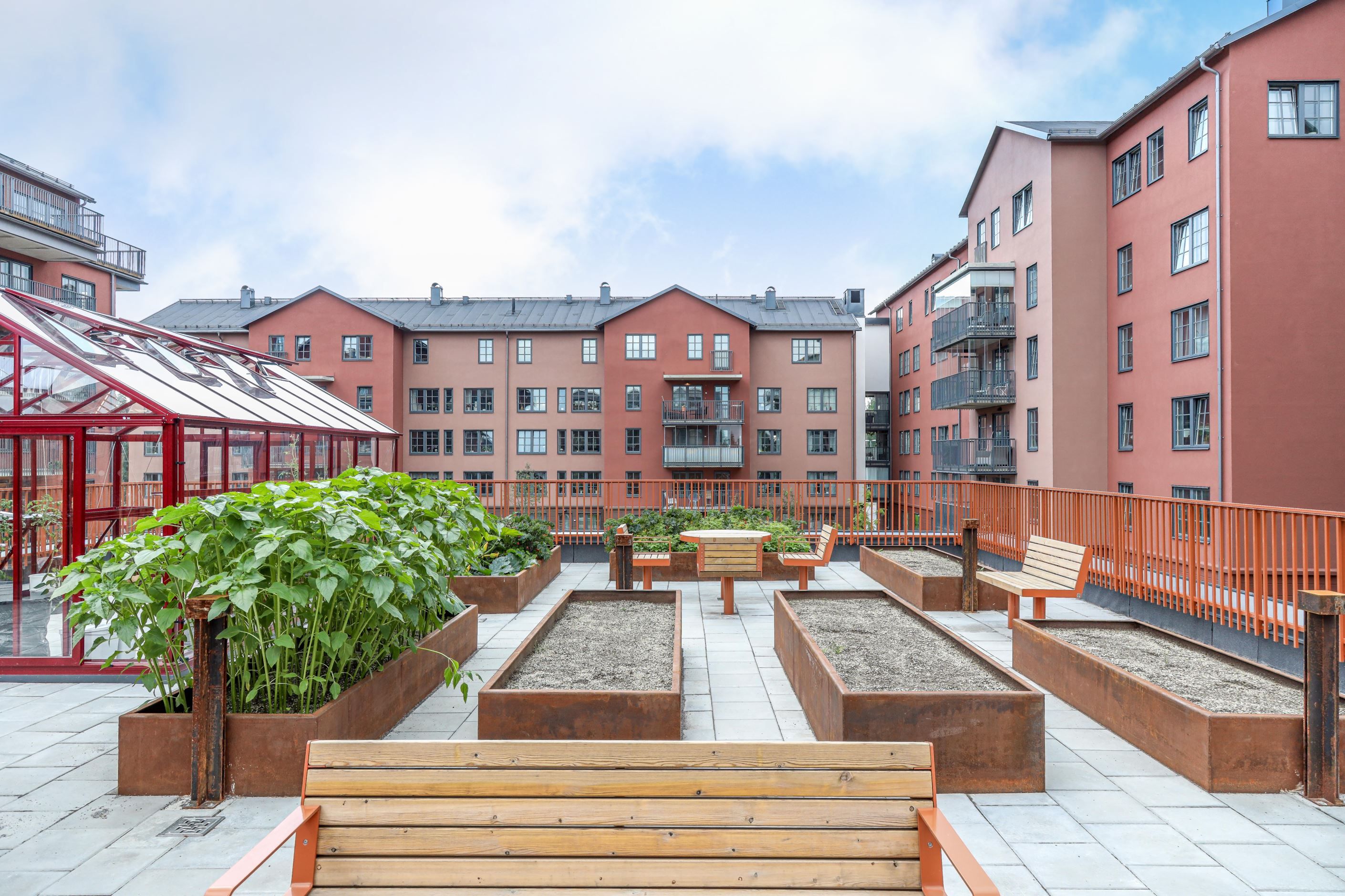 Föreningens terrass på orangeriet