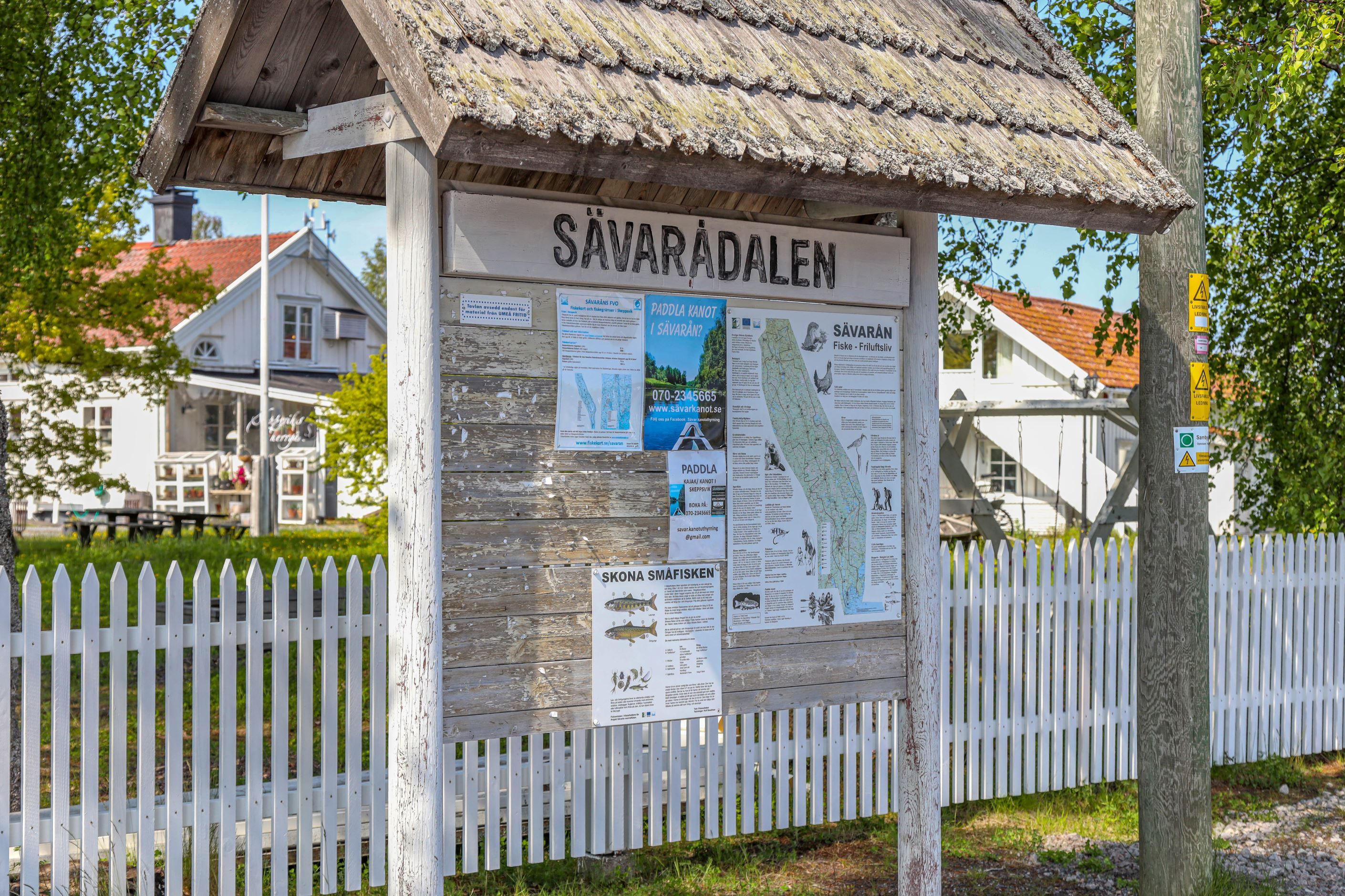 Information om fiske mm