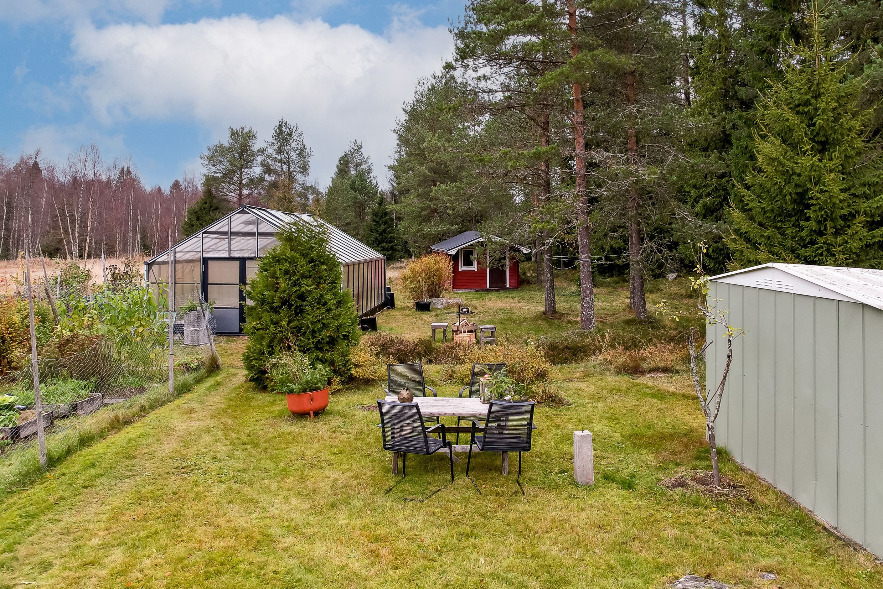Uppvuxen trädgård
