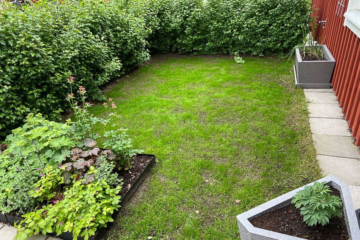 Säljarnas bild - utemiljö (framsida)